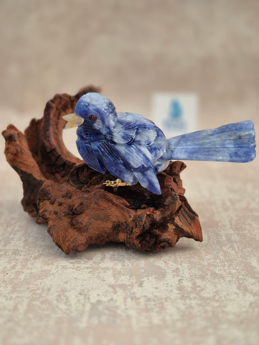 Sodalite Bird on Natural Driftwood Base