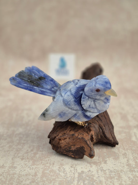 Sodalite Bird on Natural Driftwood Base