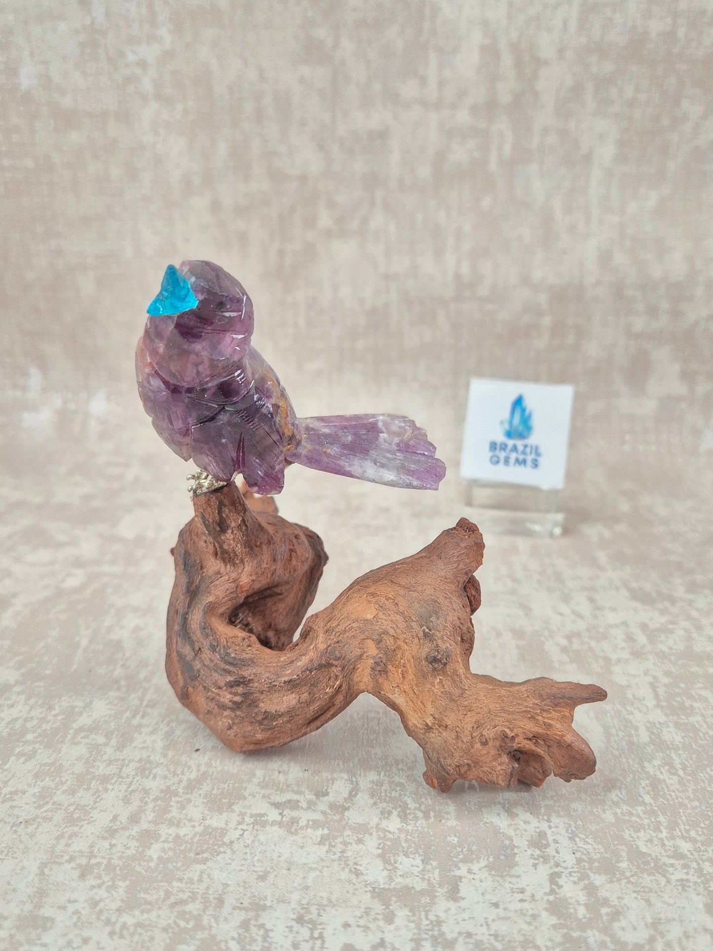 Amethyst Bird on Natural Driftwood Base