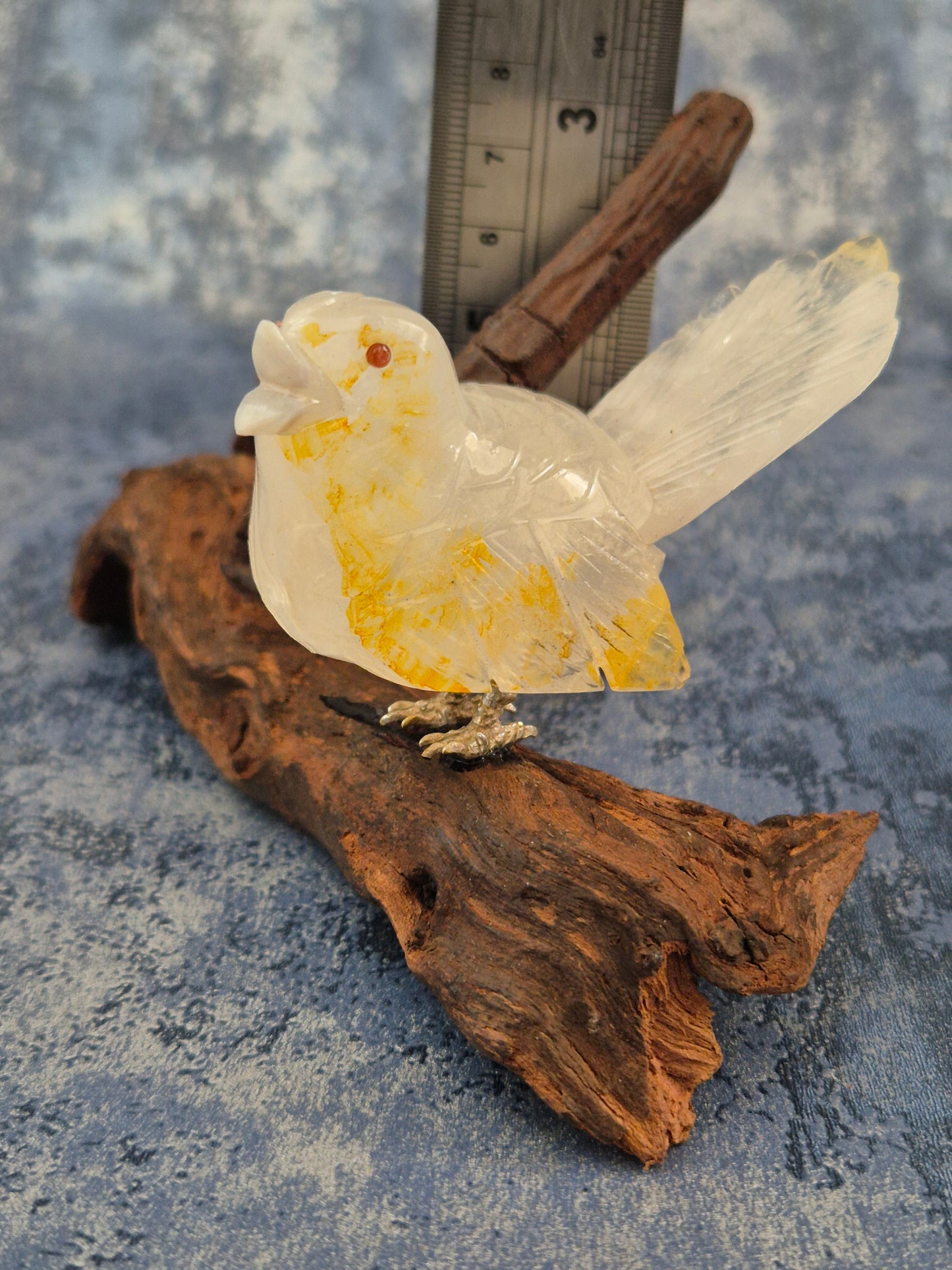 Clear Quartz with Hematoid Inclusions Bird on Natural Driftwood Base