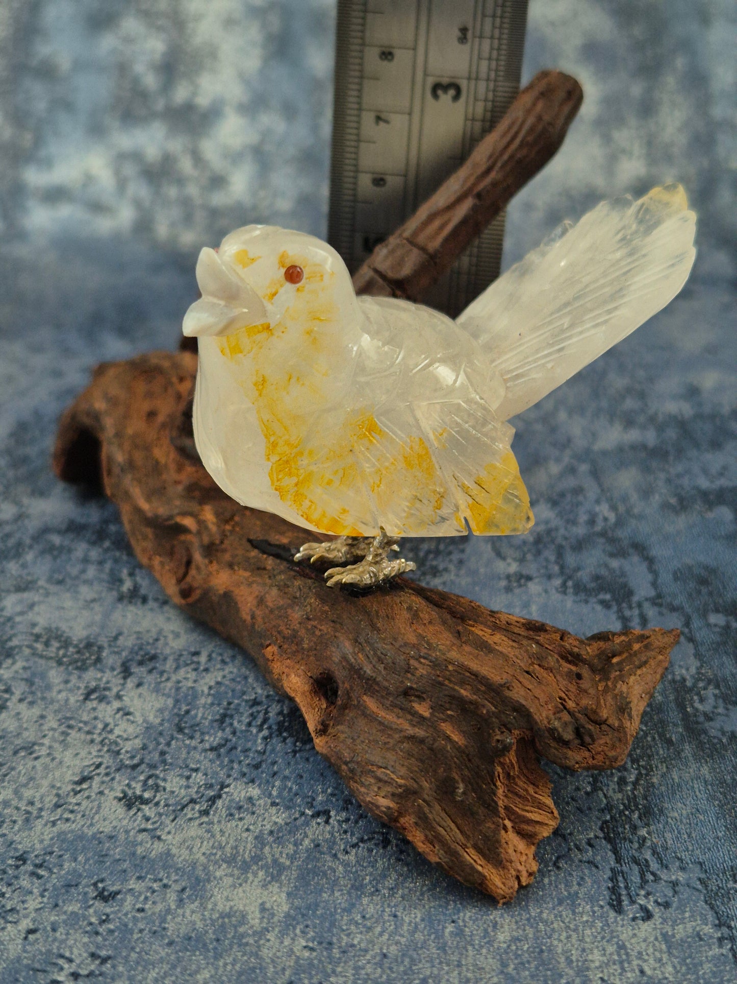 Clear Quartz with Hematoid Inclusions Bird on Natural Driftwood Base
