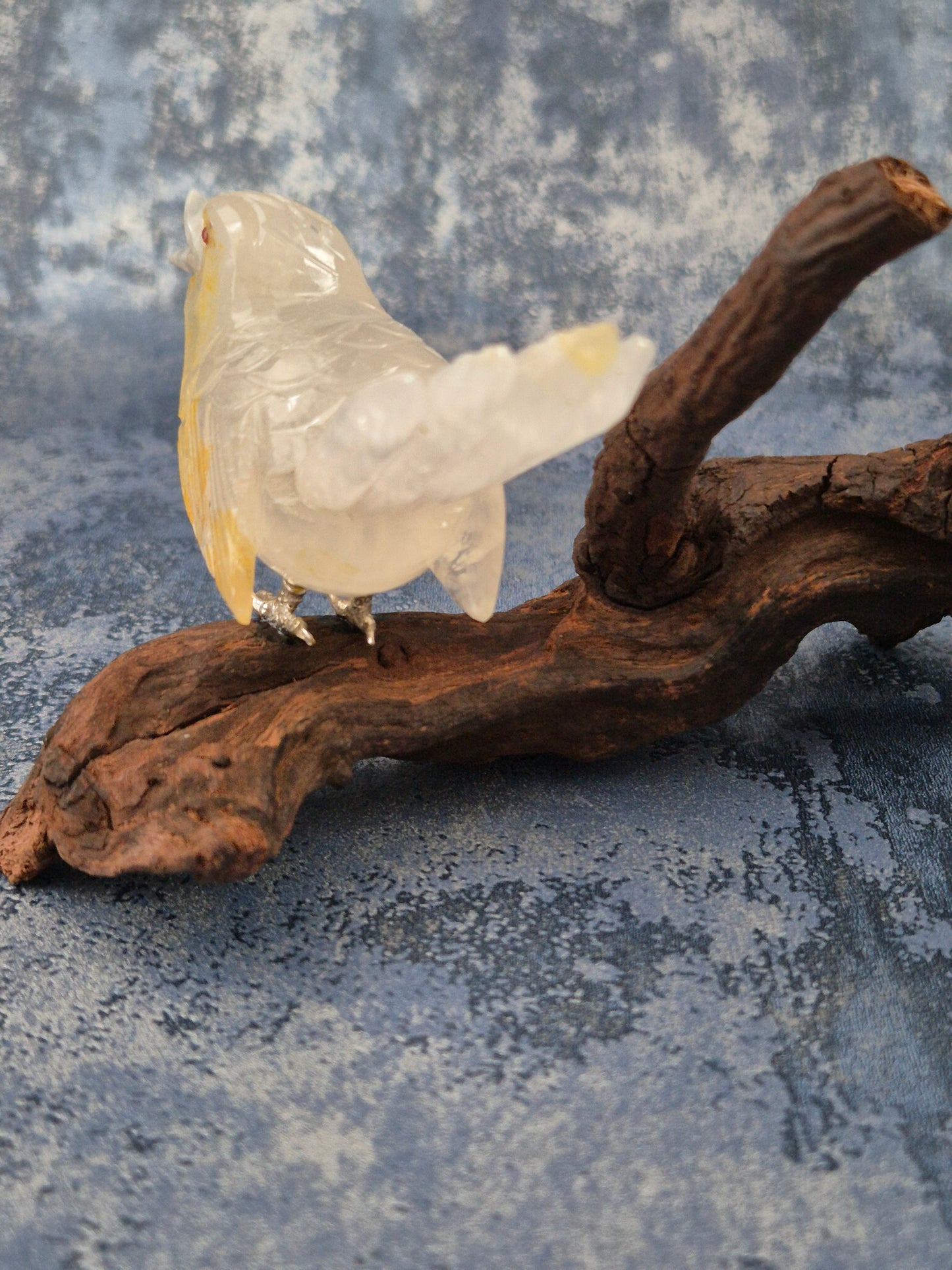 Clear Quartz with Hematoid Inclusions Bird on Natural Driftwood Base