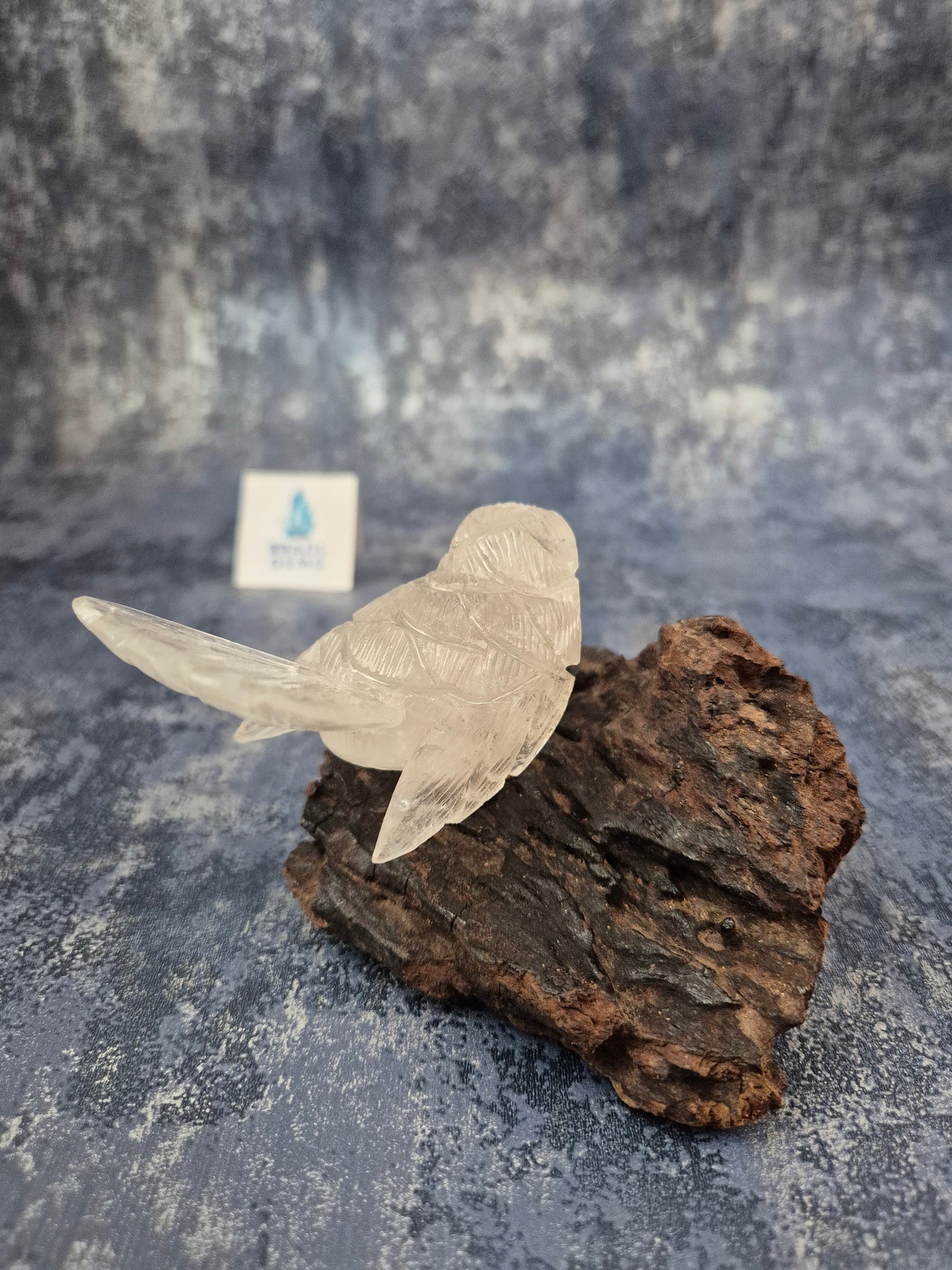 Clear Quartz Bird on Natural Driftwood Base No4