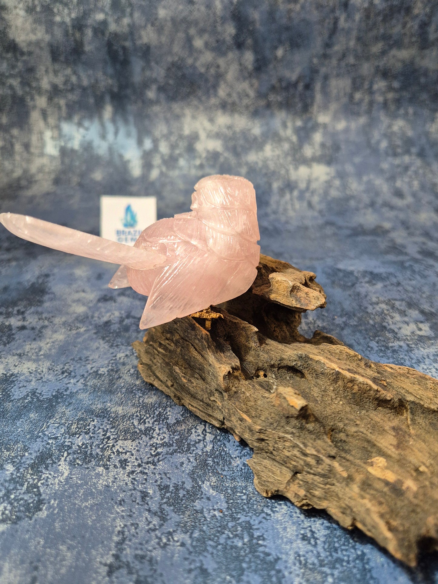 Rose Quartz Bird on Natural Driftwood Base