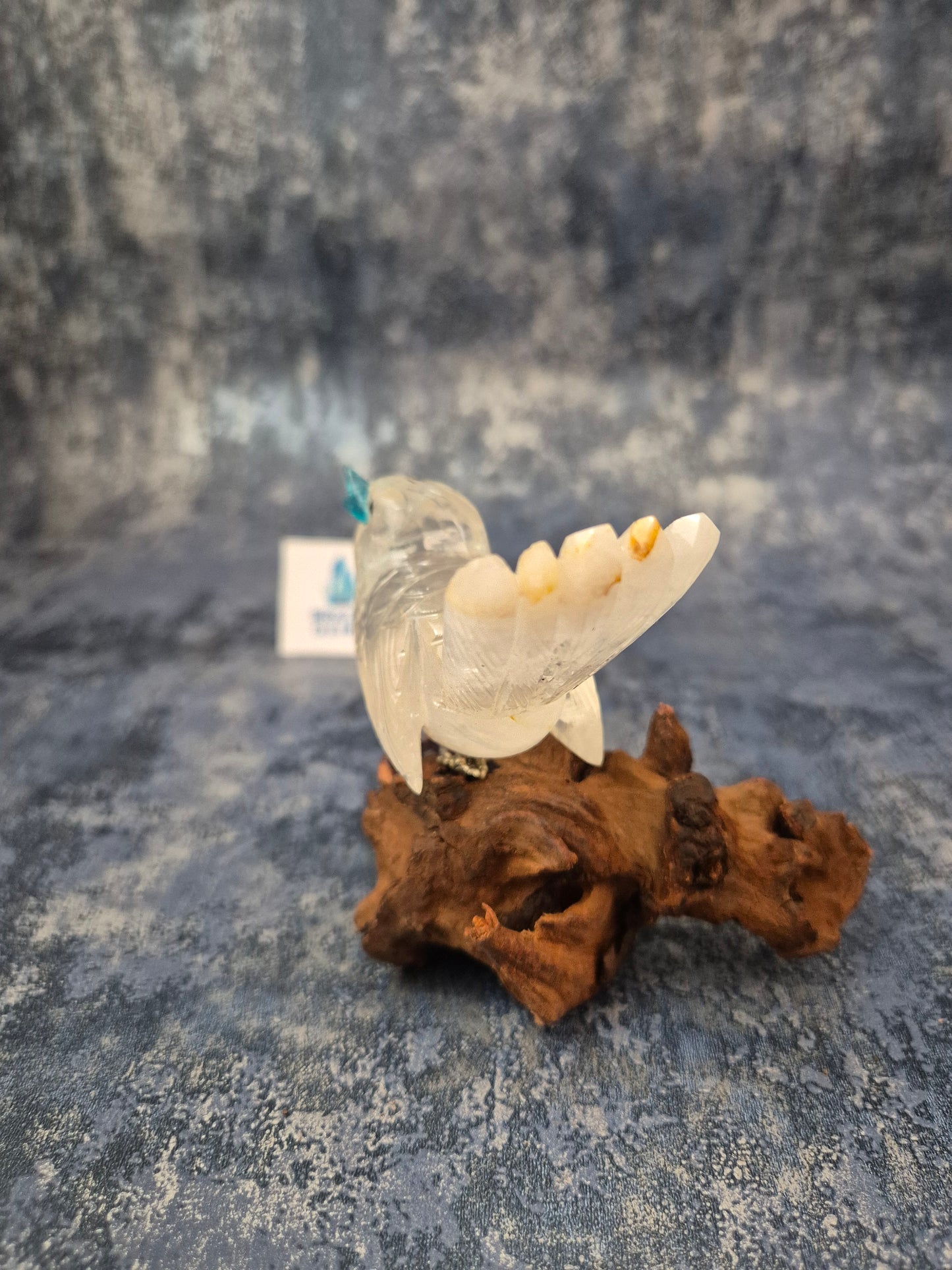 Clear Quartz with Hematoid Inclusions Bird on Natural Driftwood Base