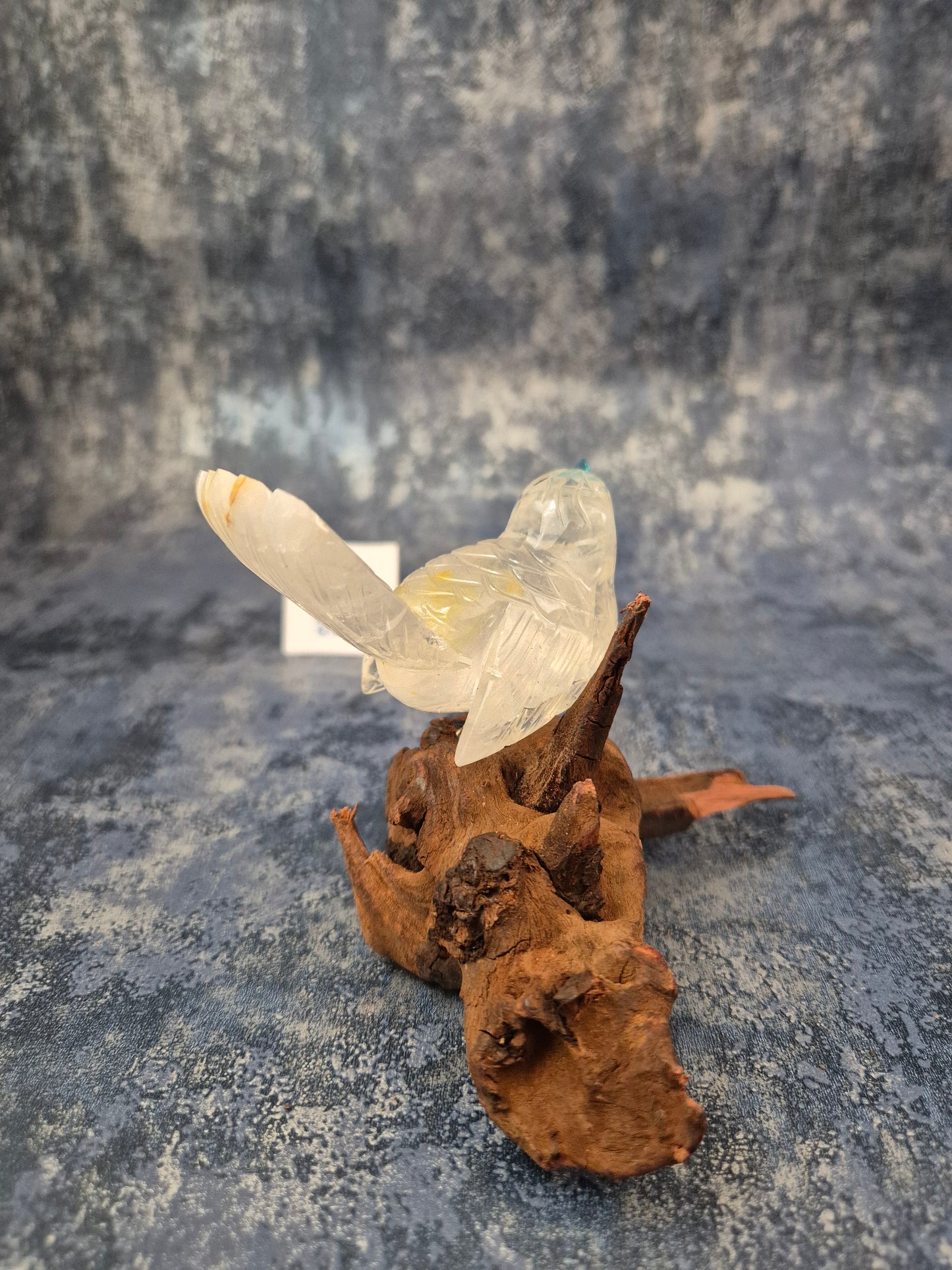 Clear Quartz with Hematoid Inclusions Bird on Natural Driftwood Base