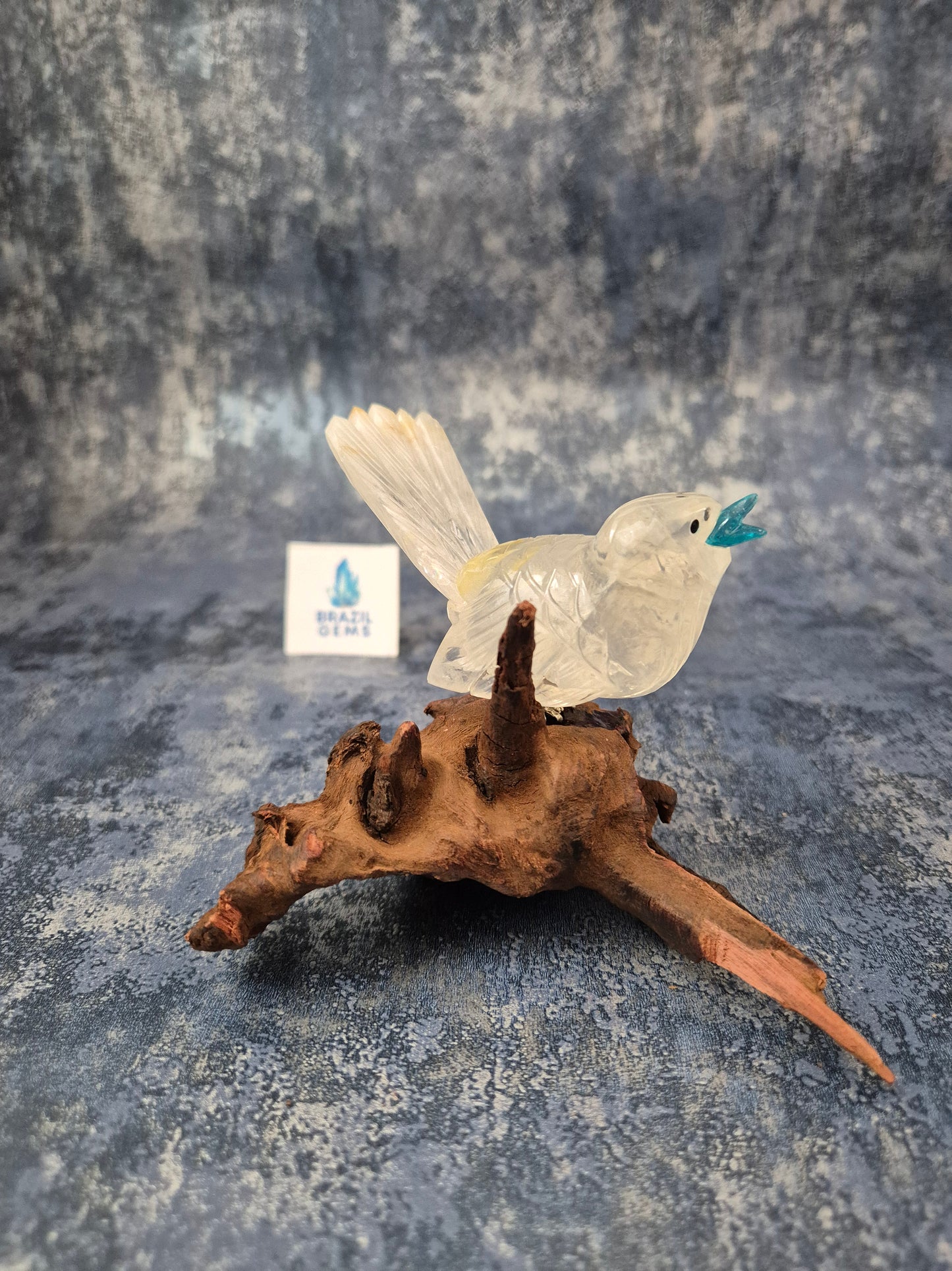 Clear Quartz with Hematoid Inclusions Bird on Natural Driftwood Base