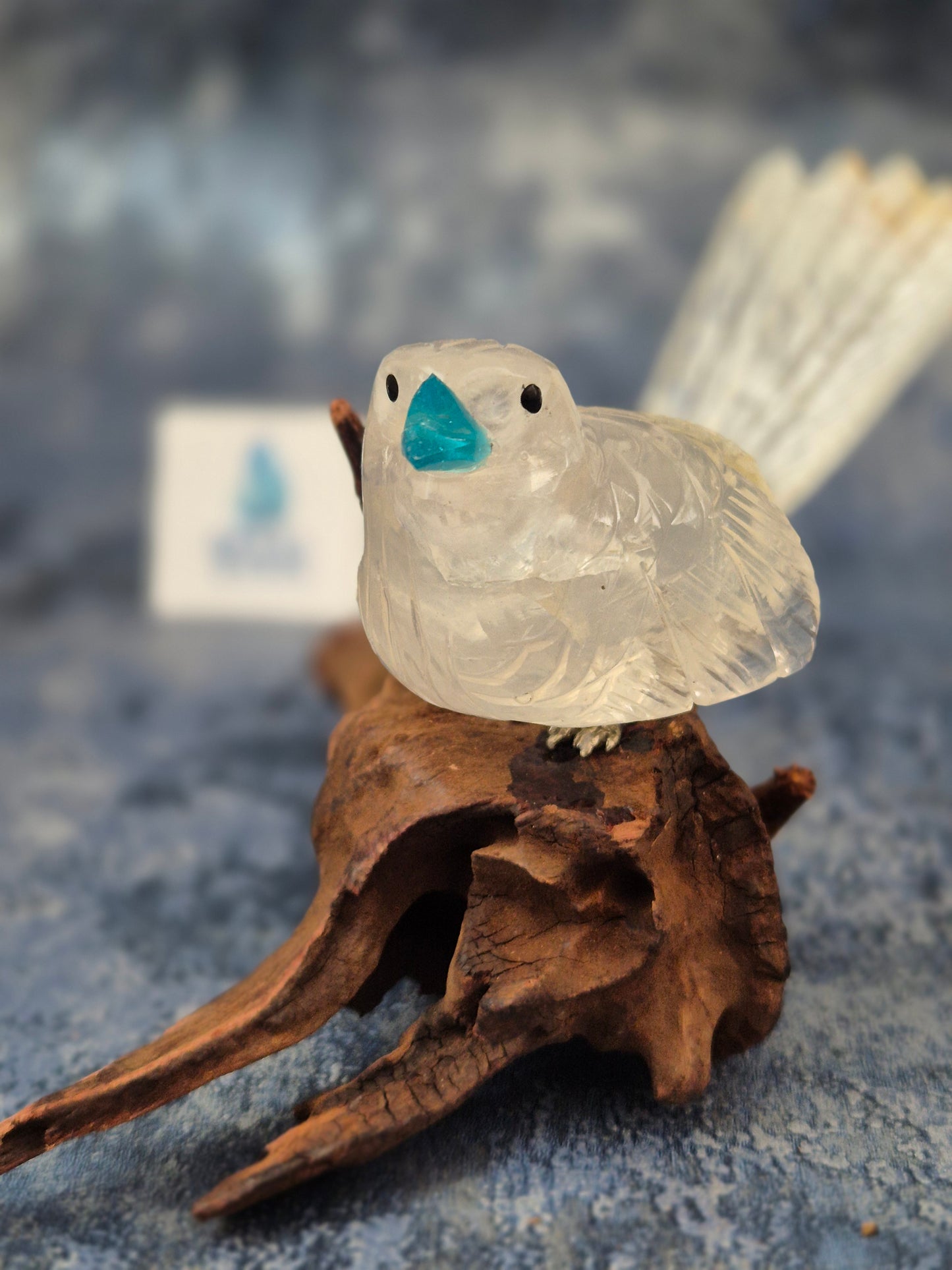 Clear Quartz with Hematoid Inclusions Bird on Natural Driftwood Base