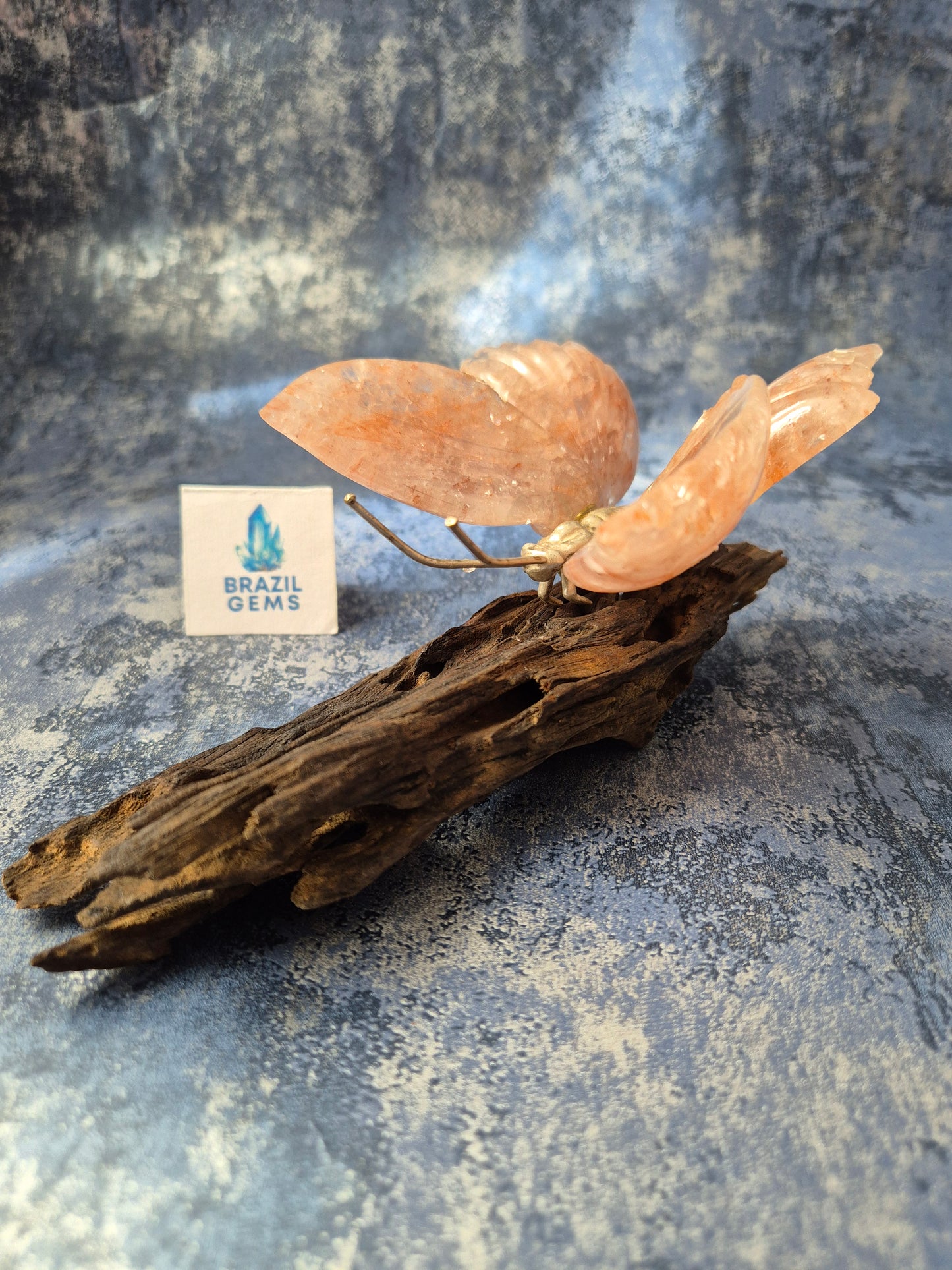 Rose Quartz Butterfly on Natural Driftwood Base