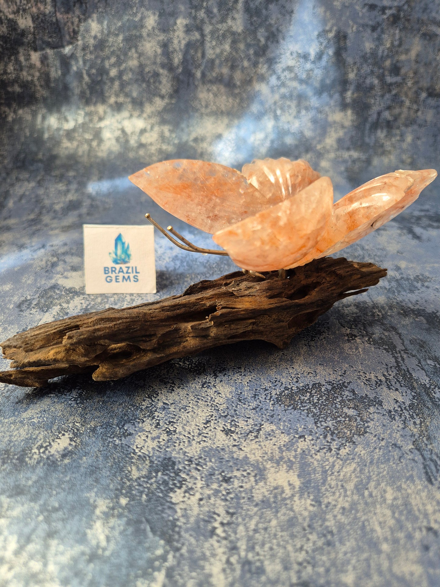 Rose Quartz Butterfly on Natural Driftwood Base