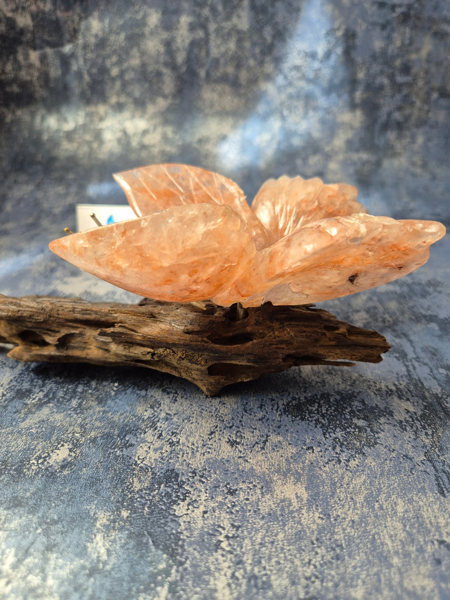 Rose Quartz Butterfly on Natural Driftwood Base