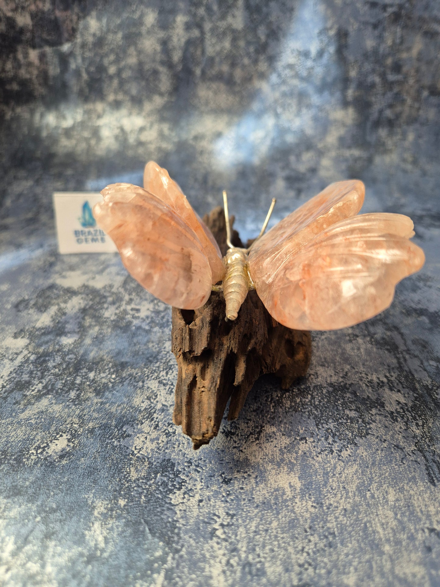 Rose Quartz Butterfly on Natural Driftwood Base
