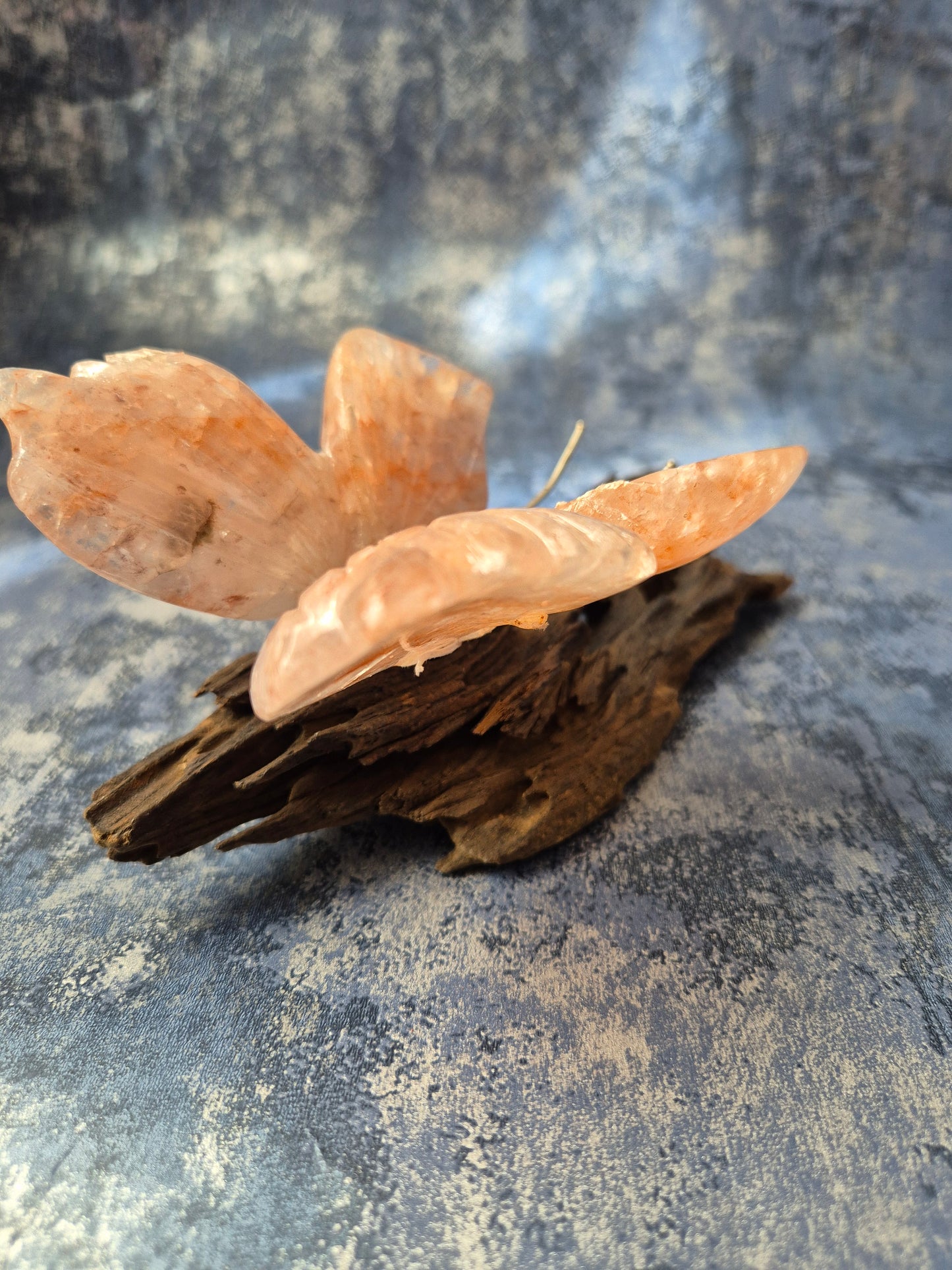 Rose Quartz Butterfly on Natural Driftwood Base