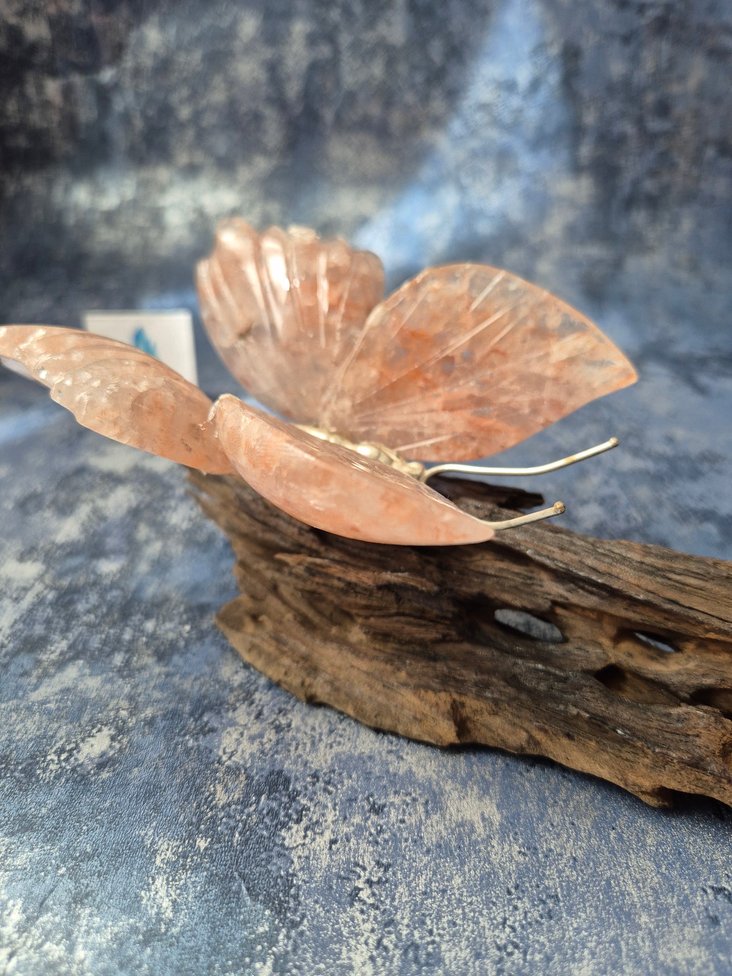 Rose Quartz Butterfly on Natural Driftwood Base