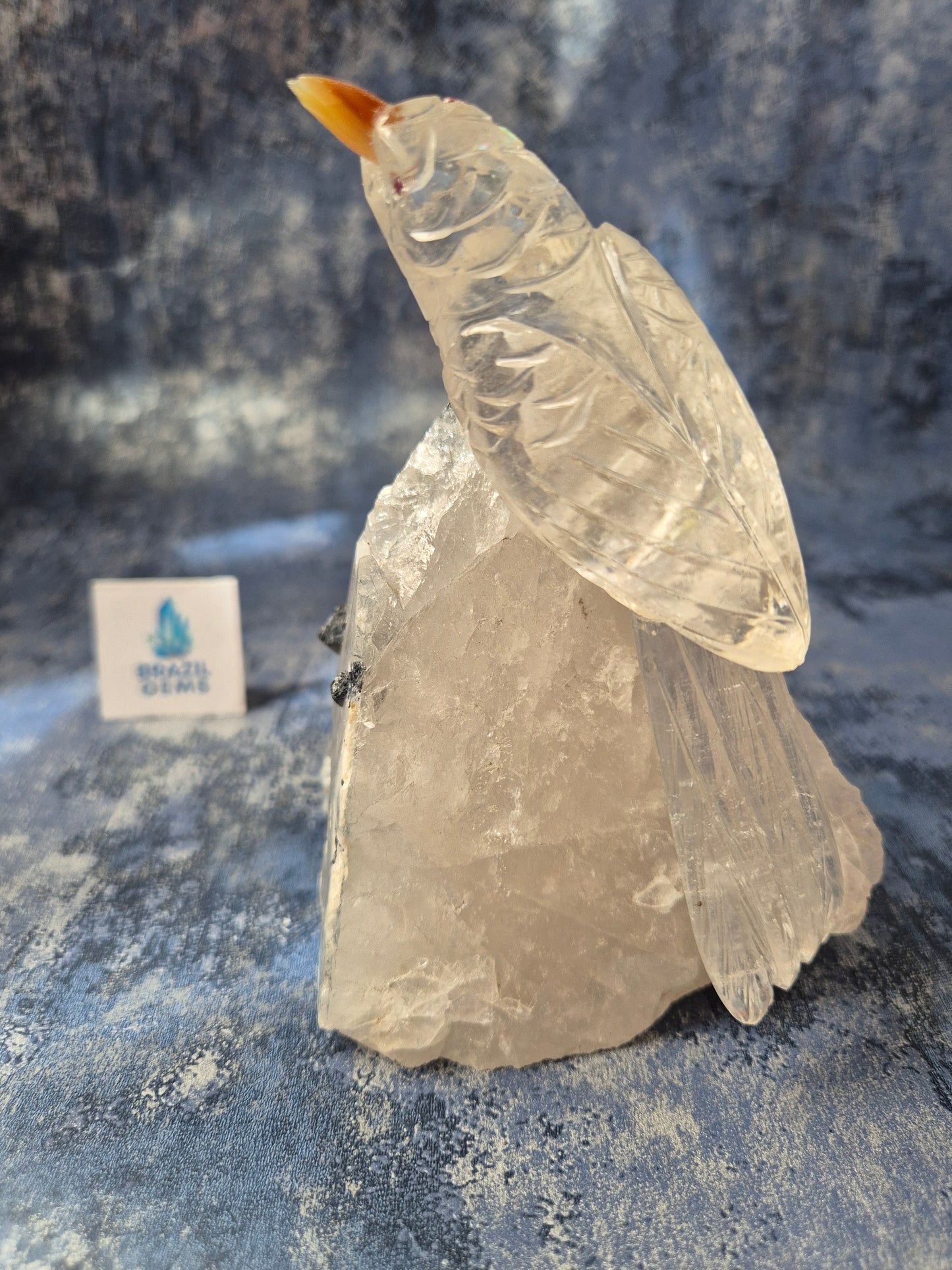 Clear Quartz Bird on Tourmalated Quartz Base