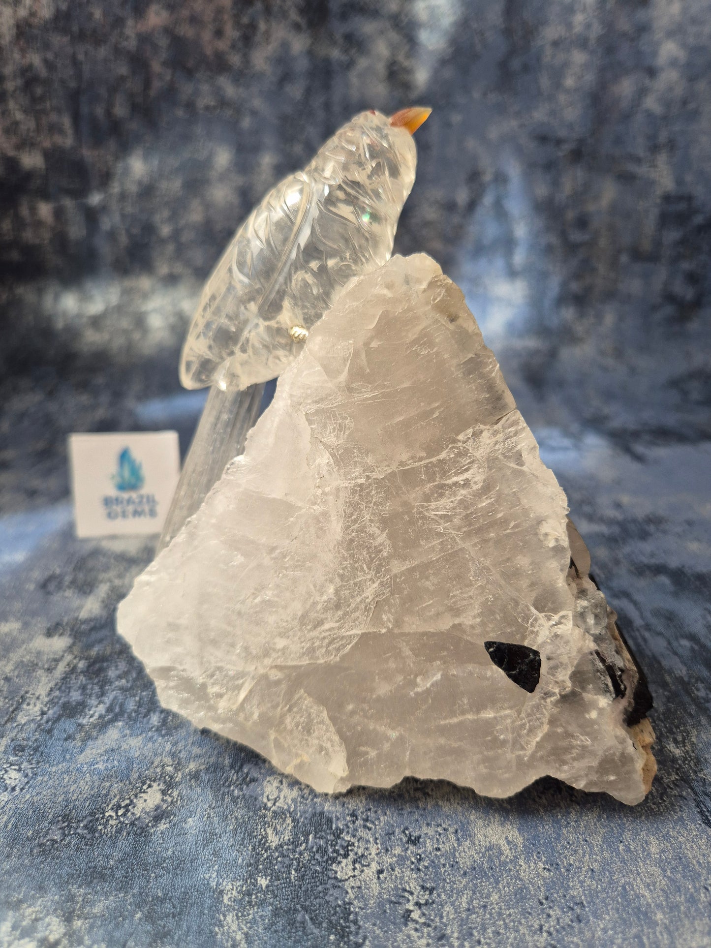 Clear Quartz Bird on Tourmalated Quartz Base