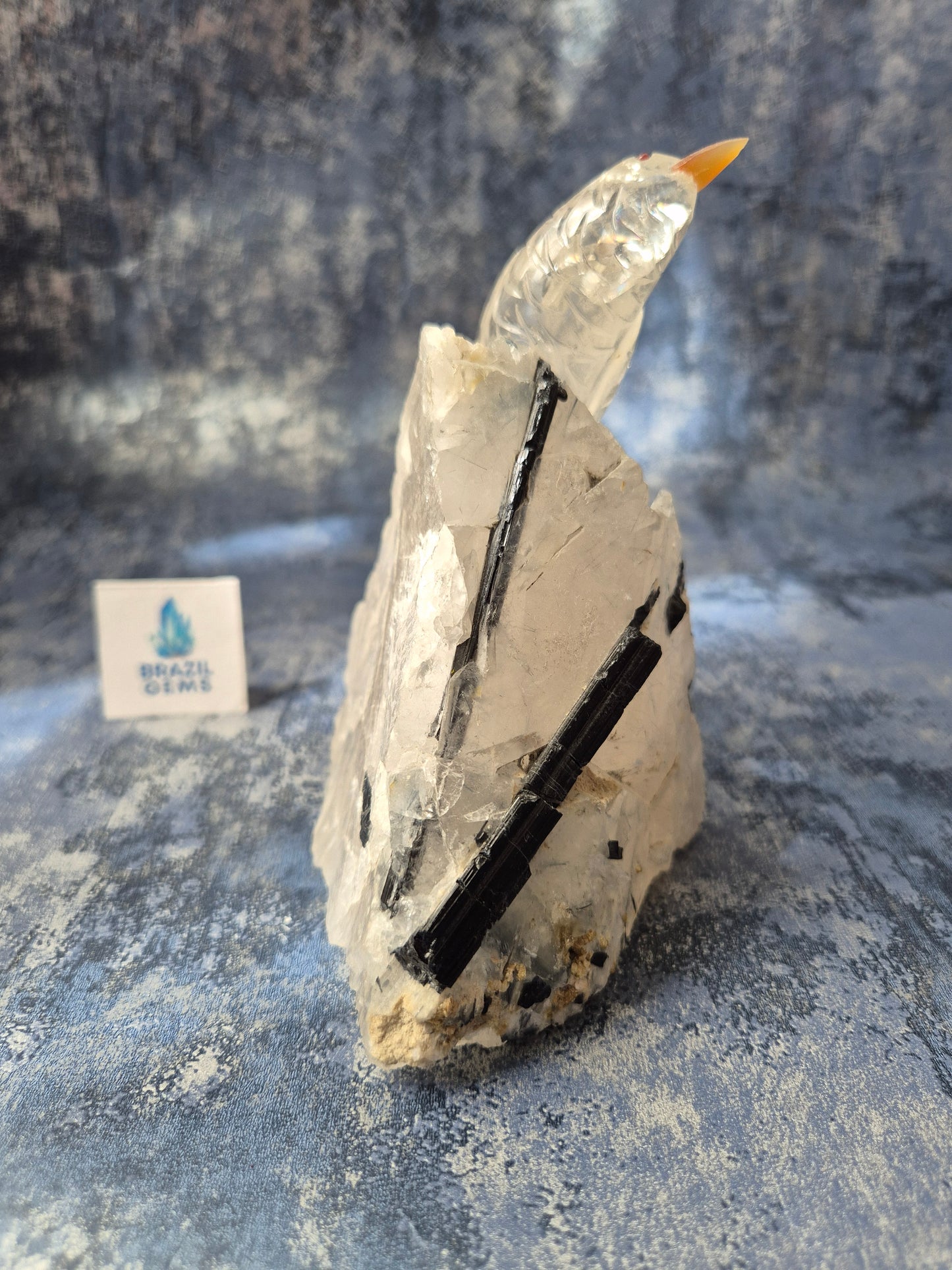 Clear Quartz Bird on Tourmalated Quartz Base