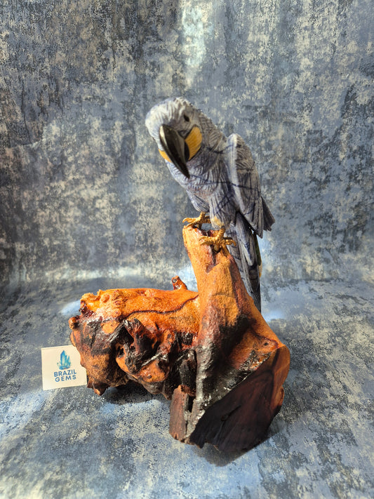 Blue Quartz Parrot on Natural Driftwood Base