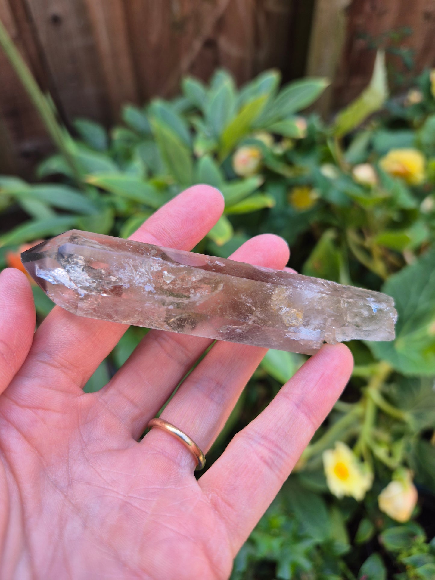 Black Phantom Citrine Lemurian Quartz