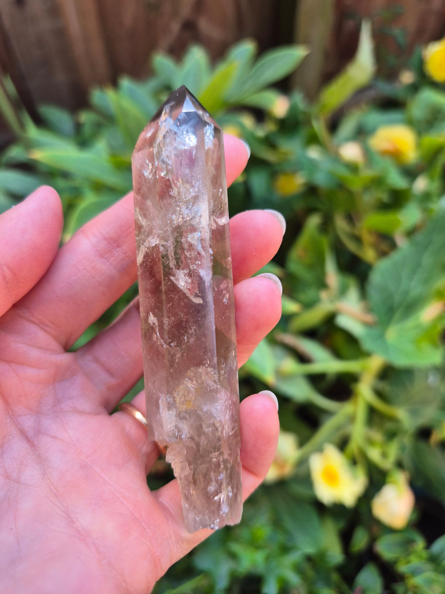 Black Phantom Citrine Lemurian Quartz