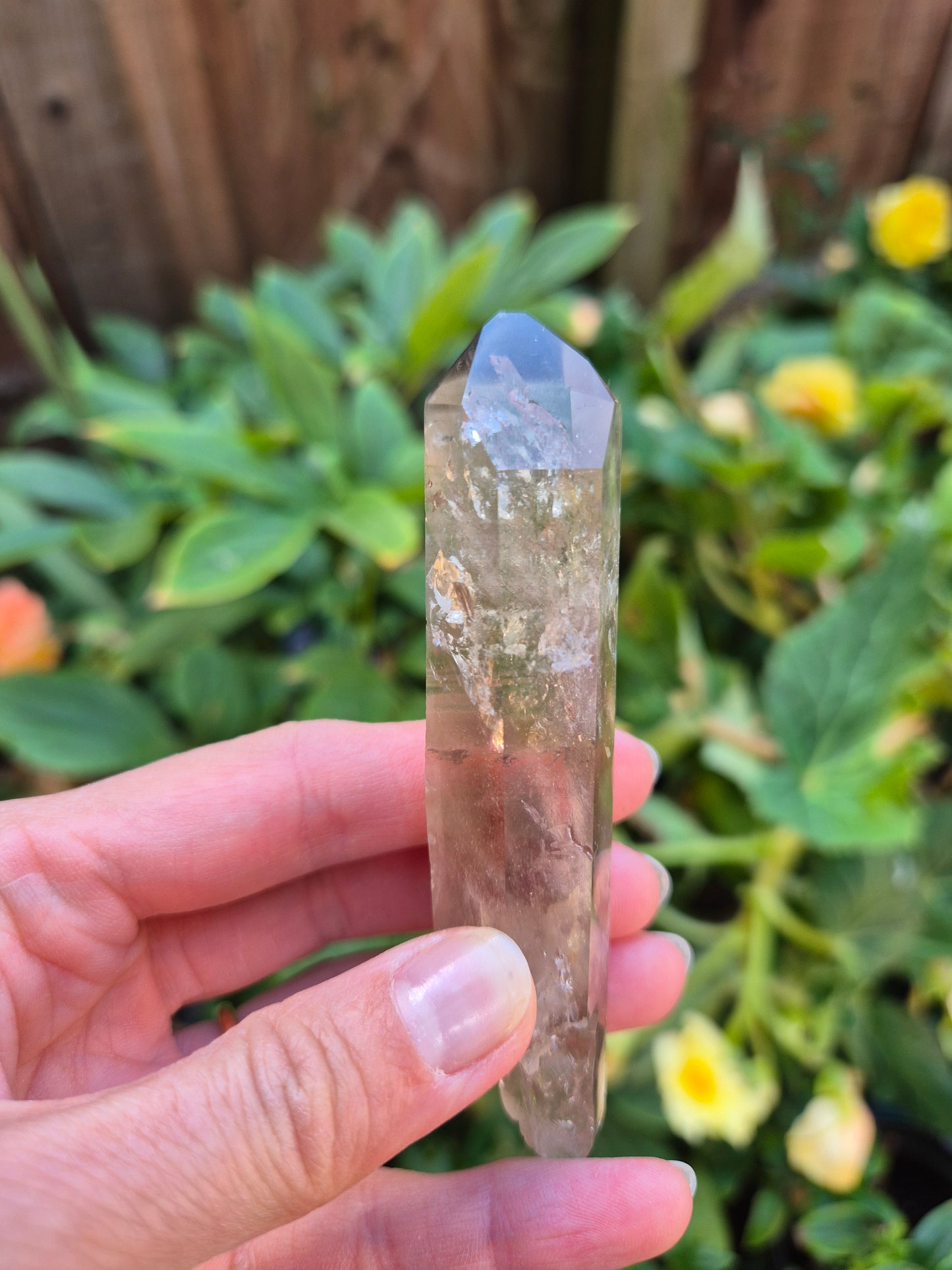 Black Phantom Citrine Lemurian Quartz