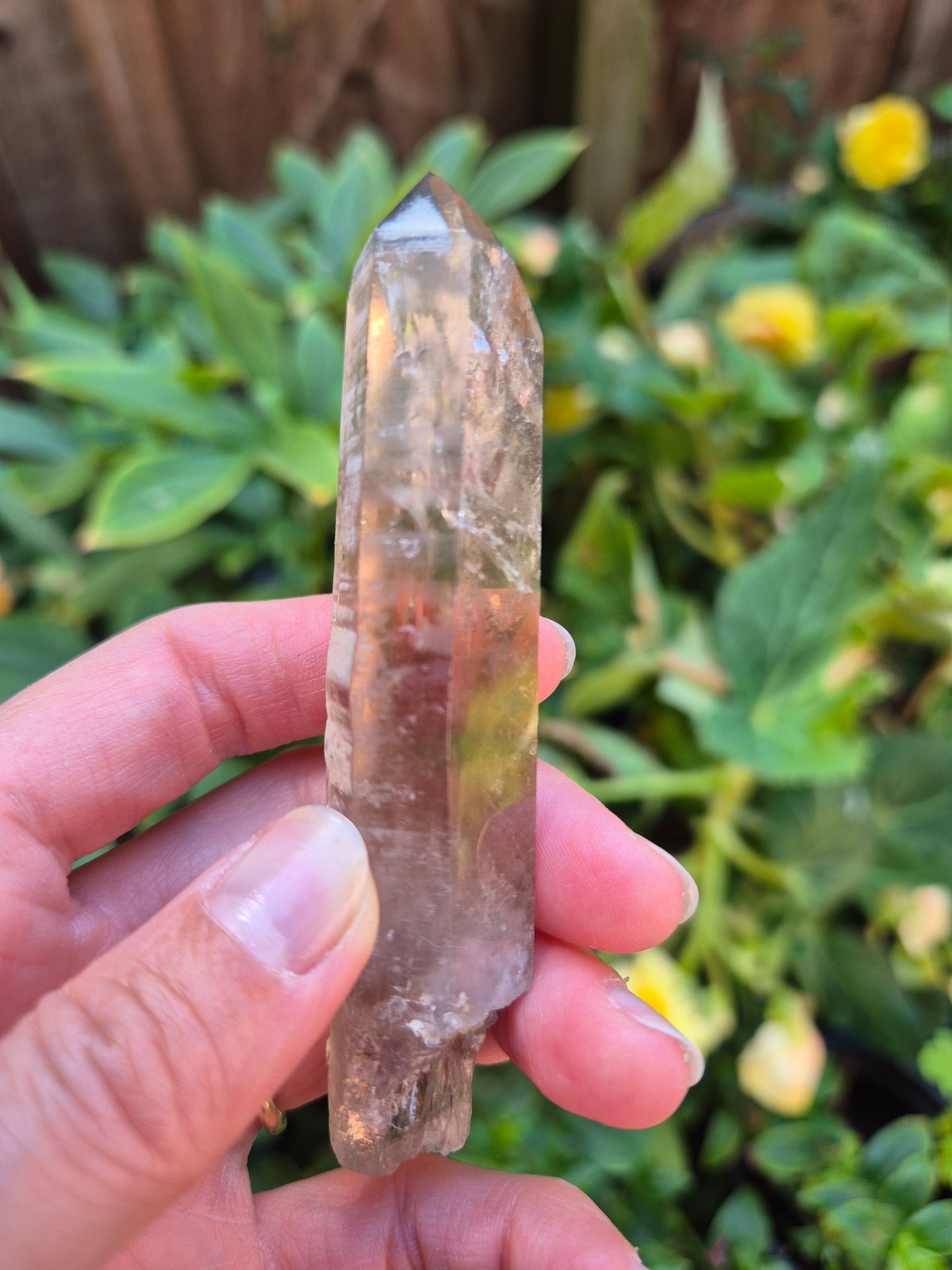 Black Phantom Citrine Lemurian Quartz