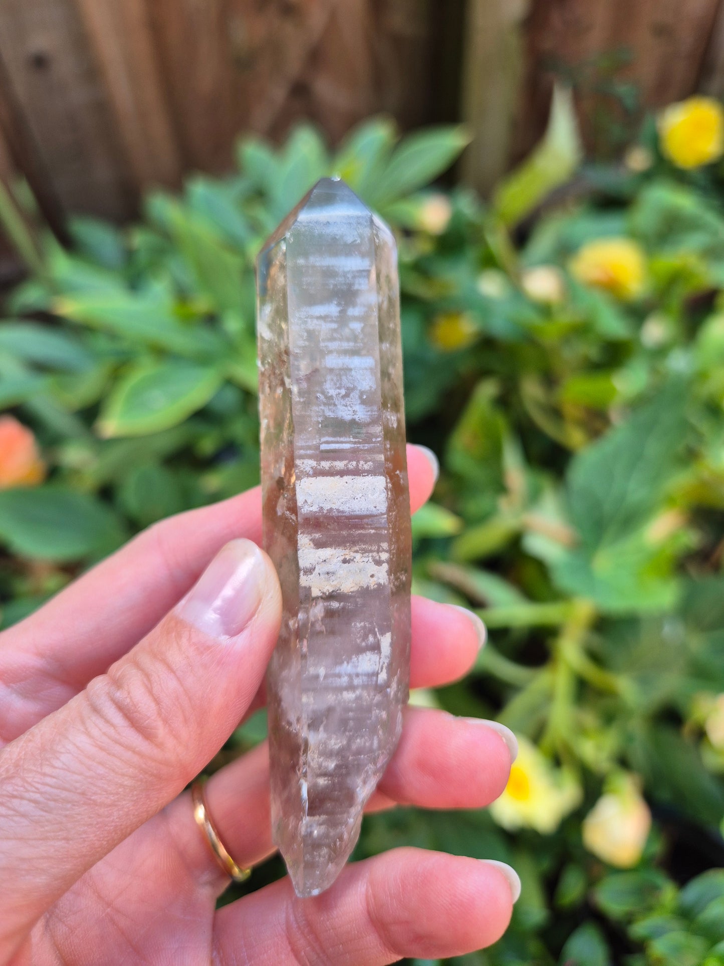 Black Phantom Citrine Lemurian Quartz
