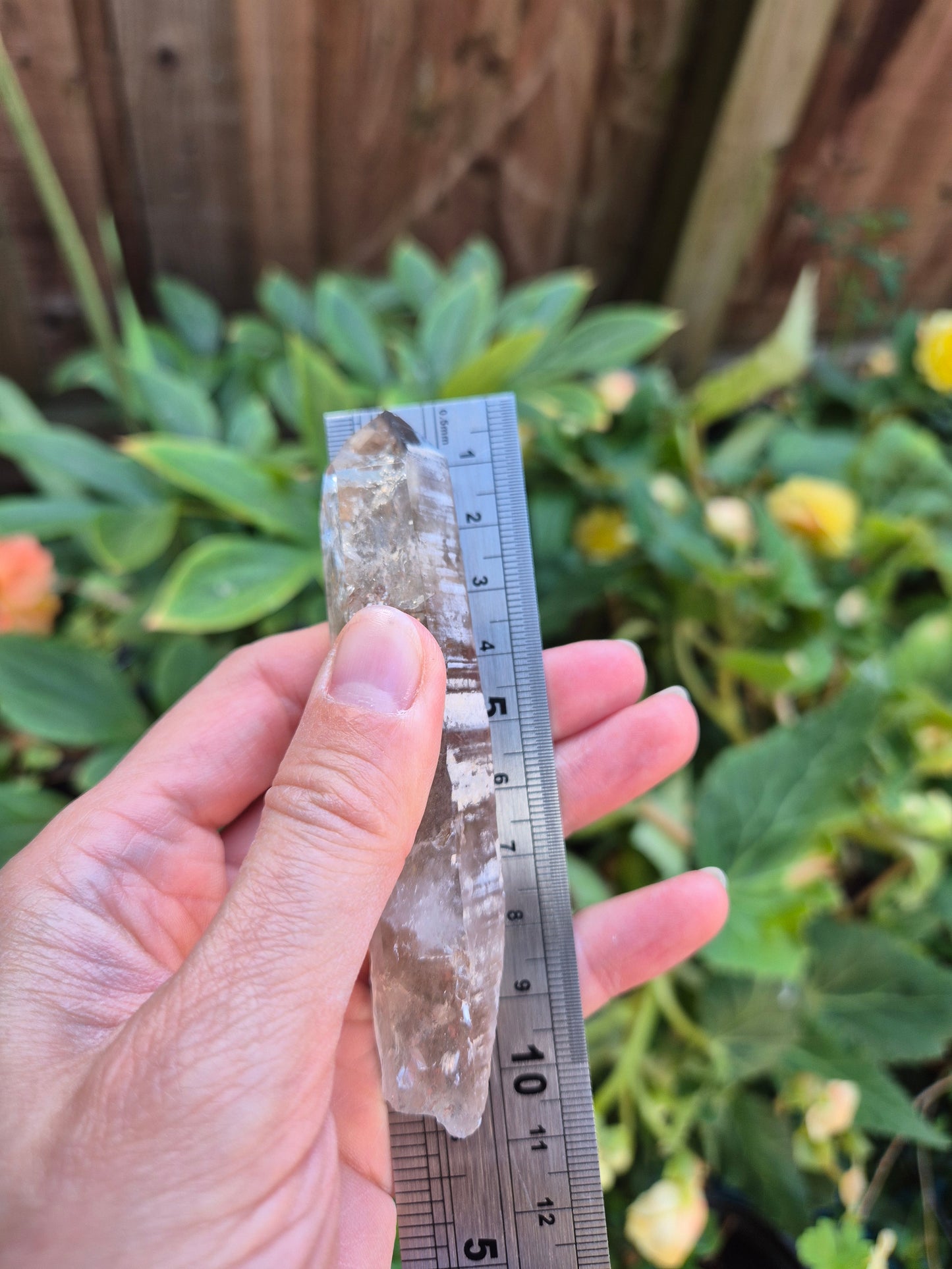 Black Phantom Citrine Lemurian Quartz