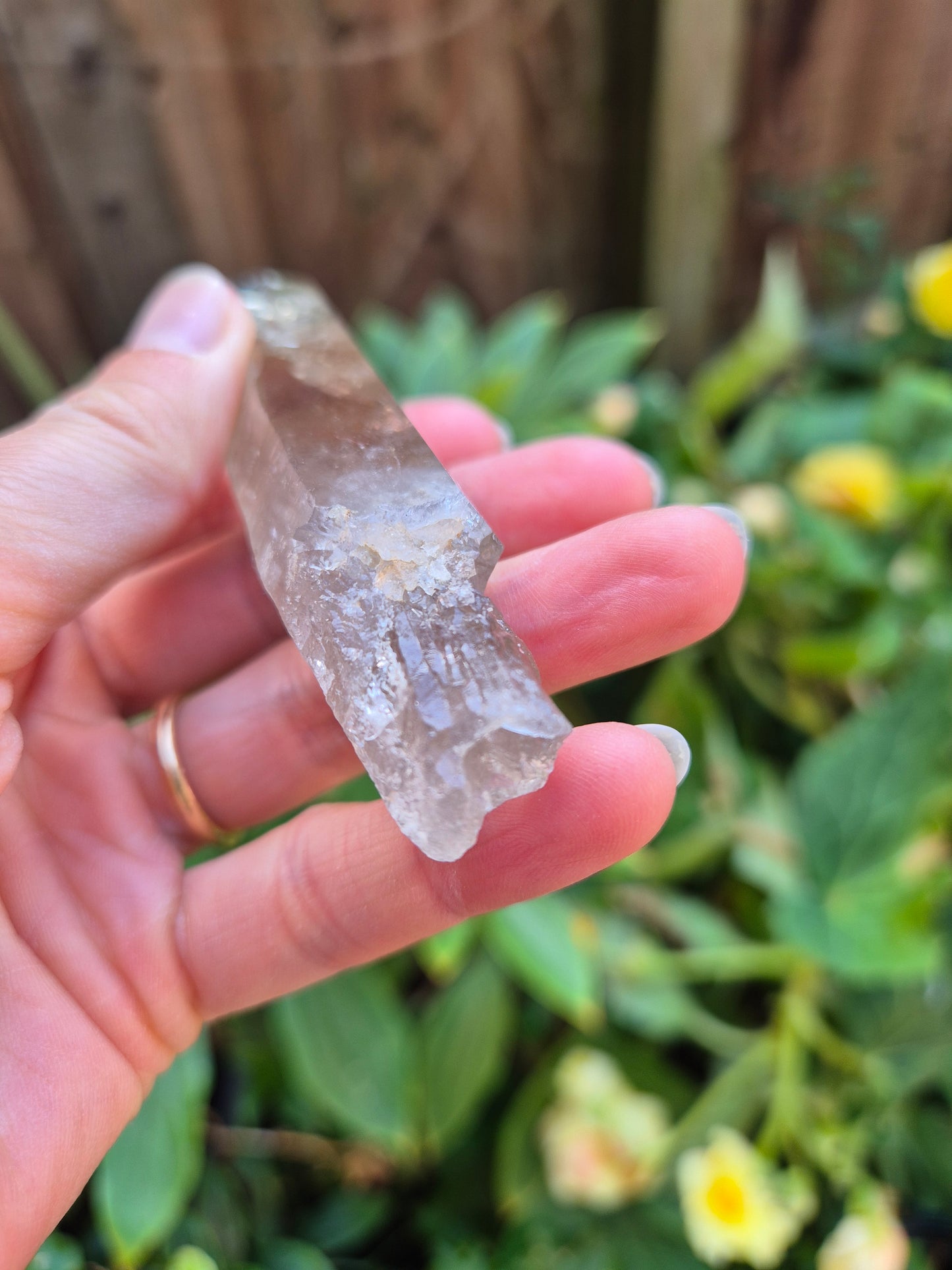 Black Phantom Citrine Lemurian Quartz