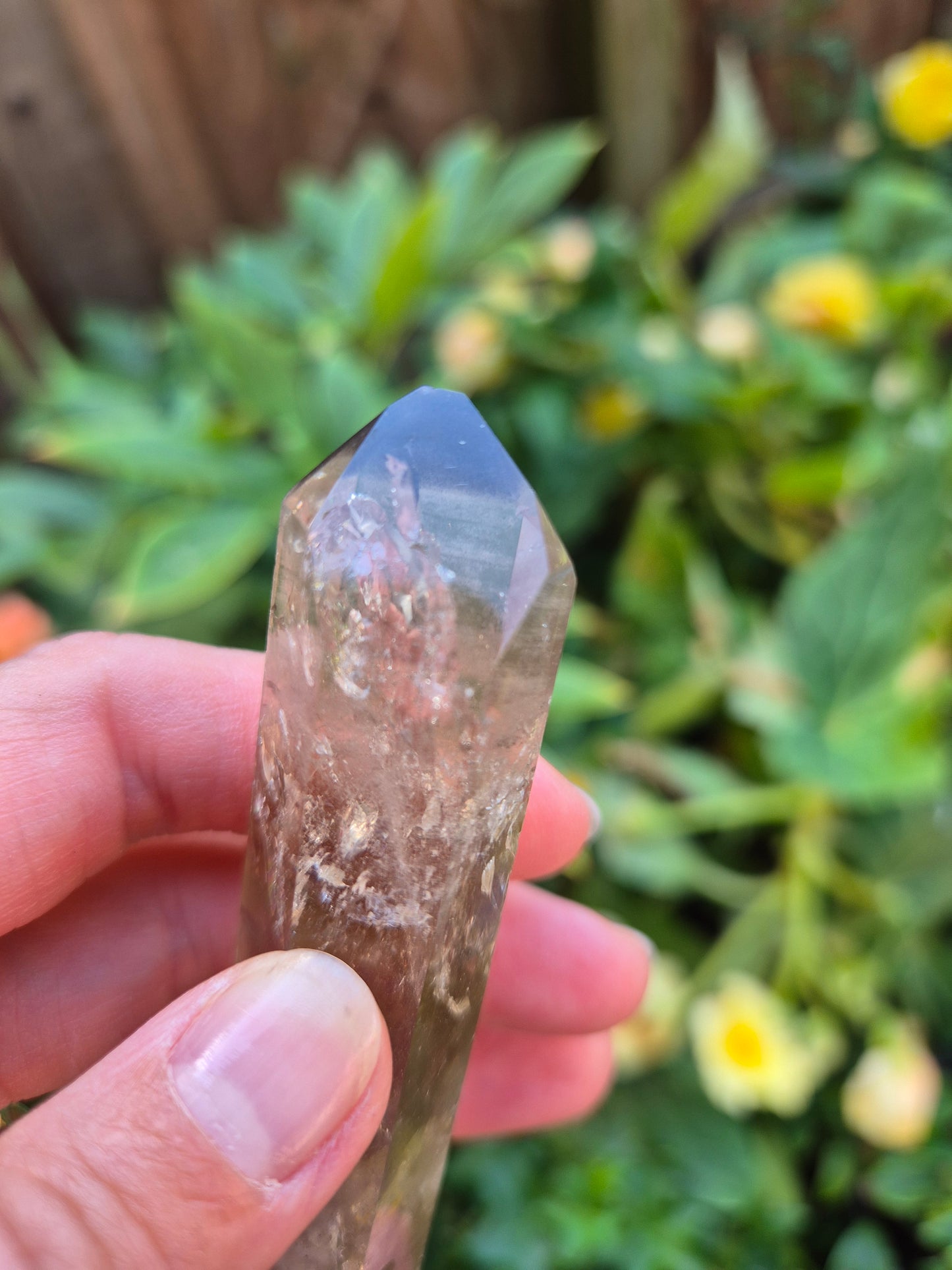 Black Phantom Citrine Lemurian Quartz