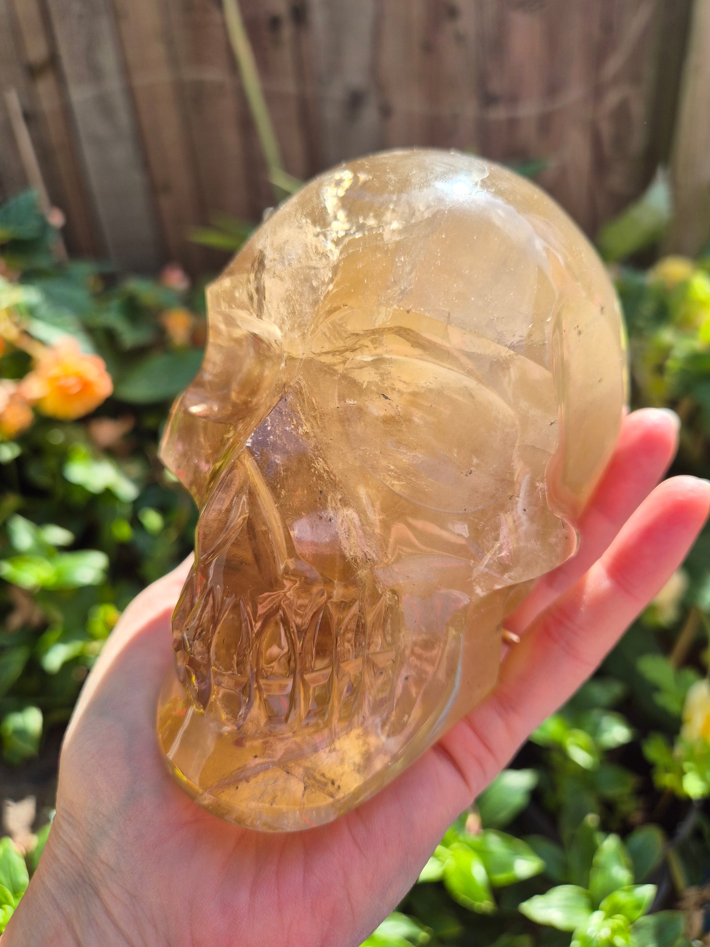 Citrine Skull