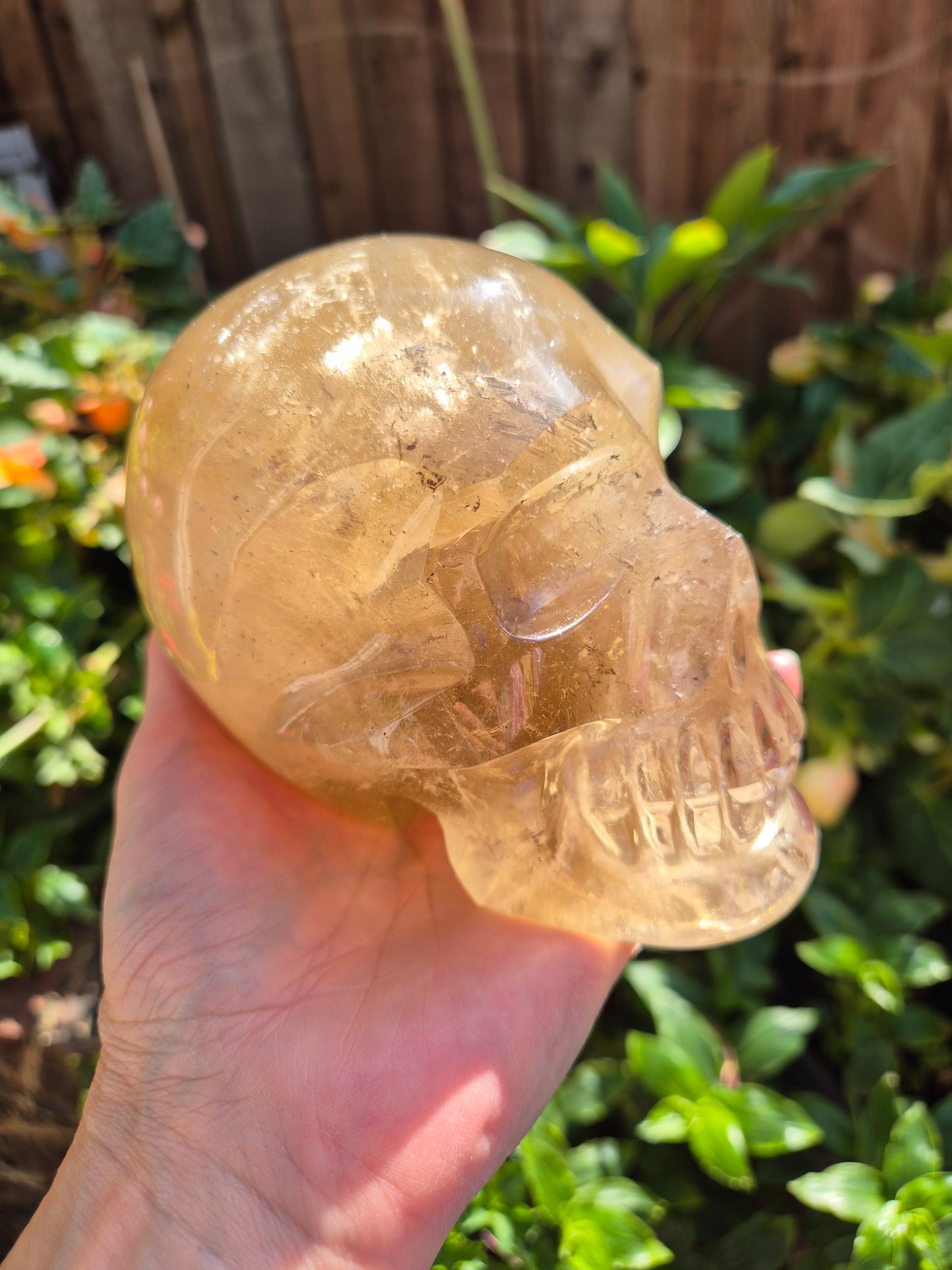 Citrine Skull