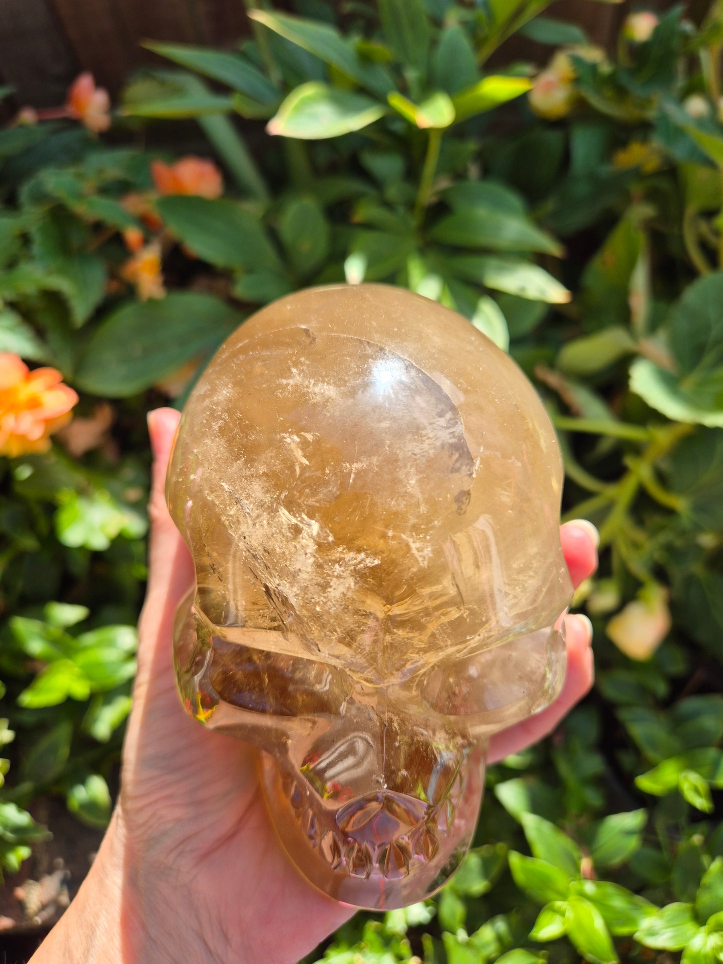 Citrine Skull