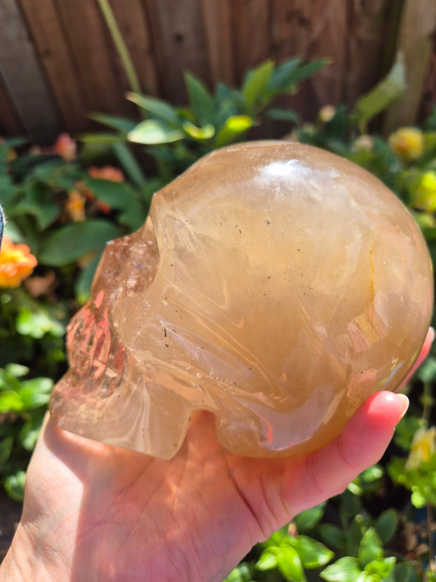 Citrine Skull