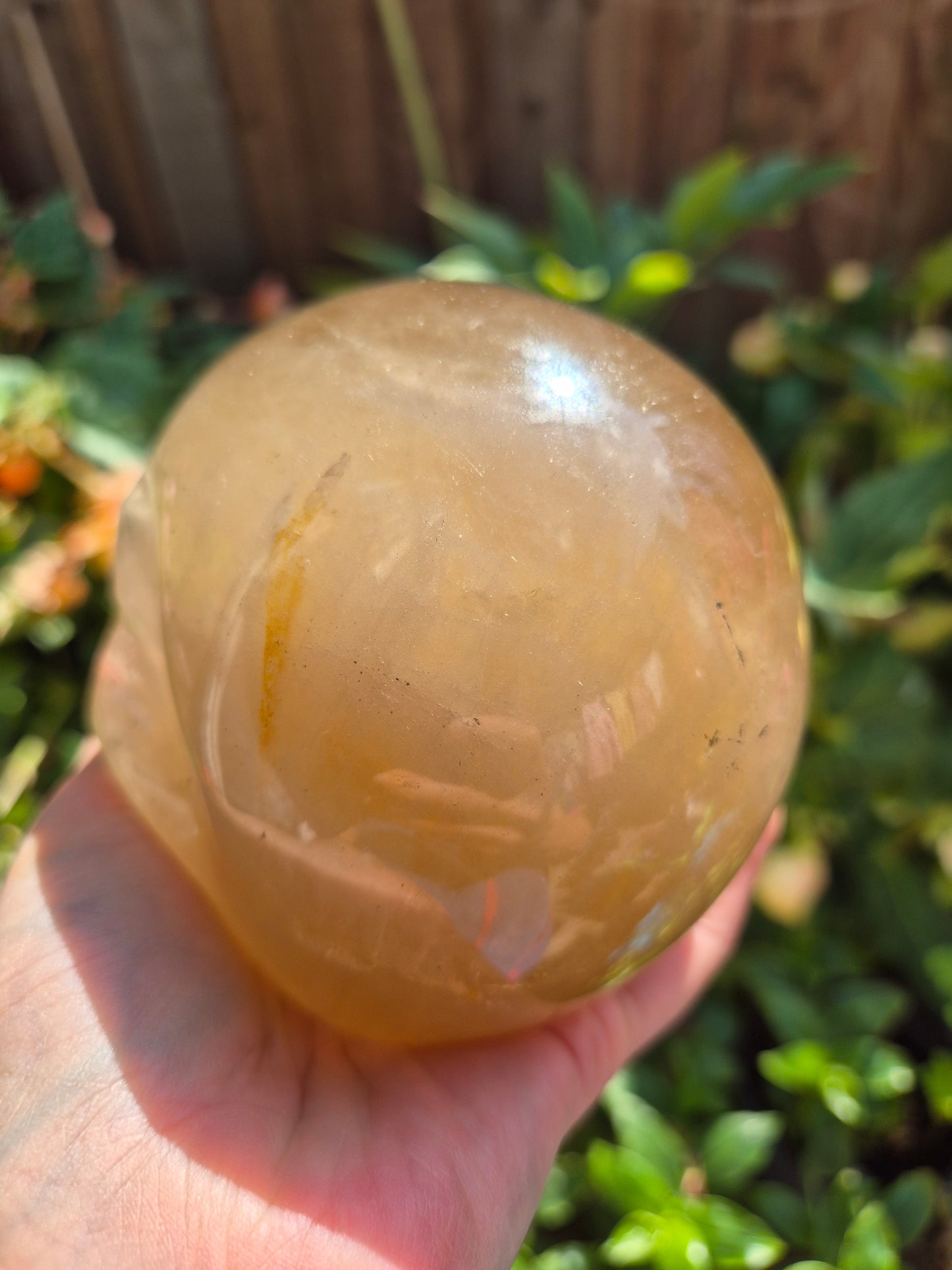 Citrine Skull