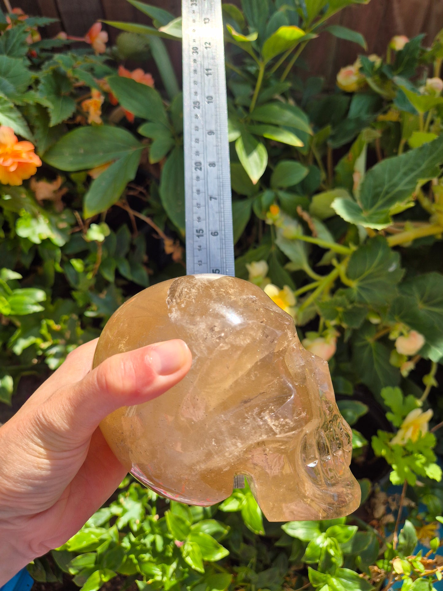 Citrine Skull