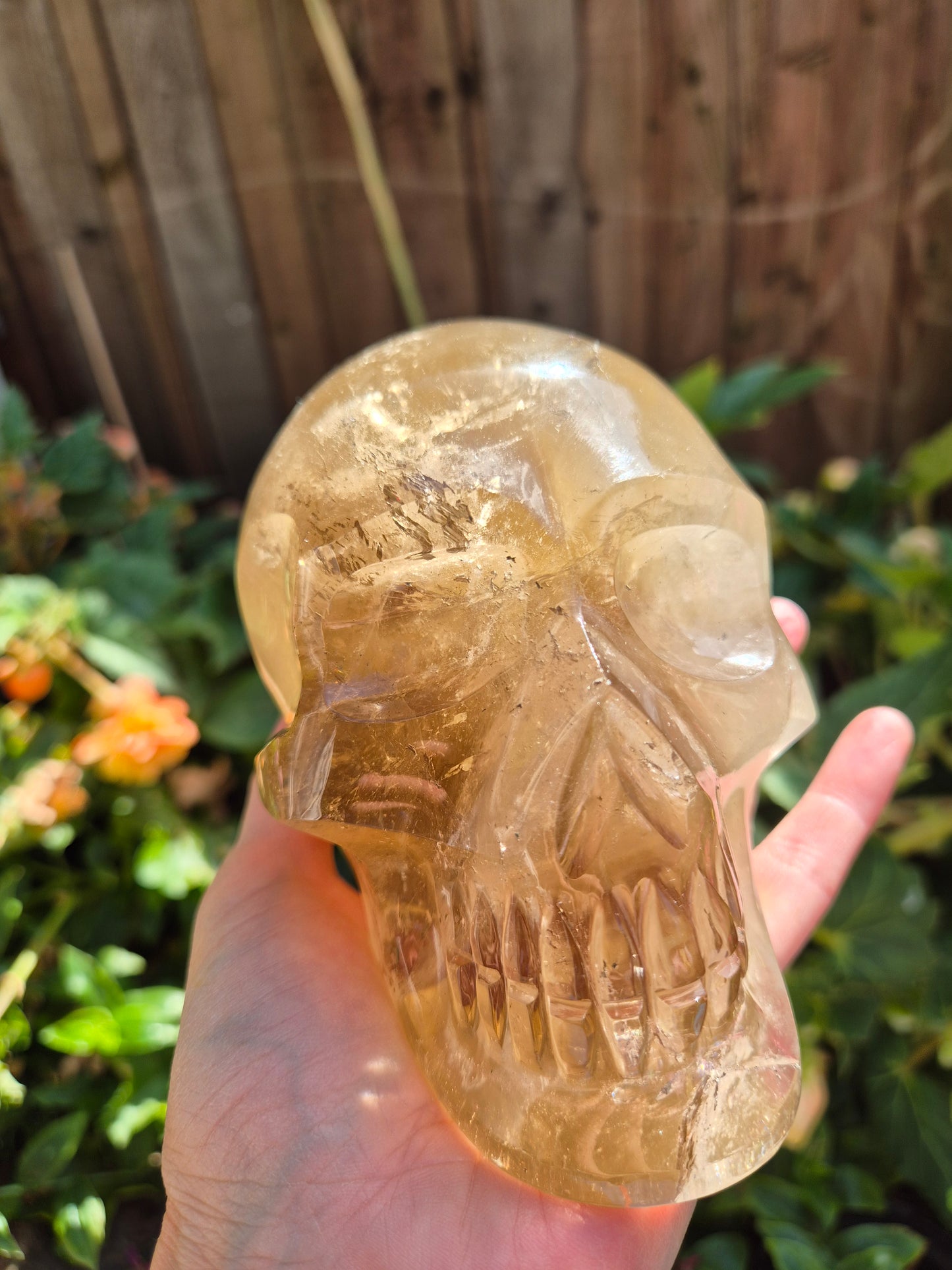 Citrine Skull