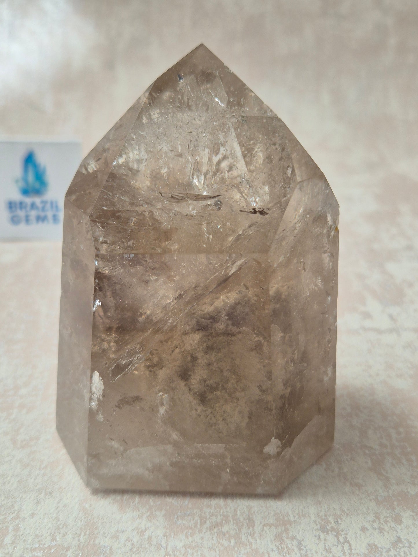 Smoky Quartz with Lodolite Inclusions Point