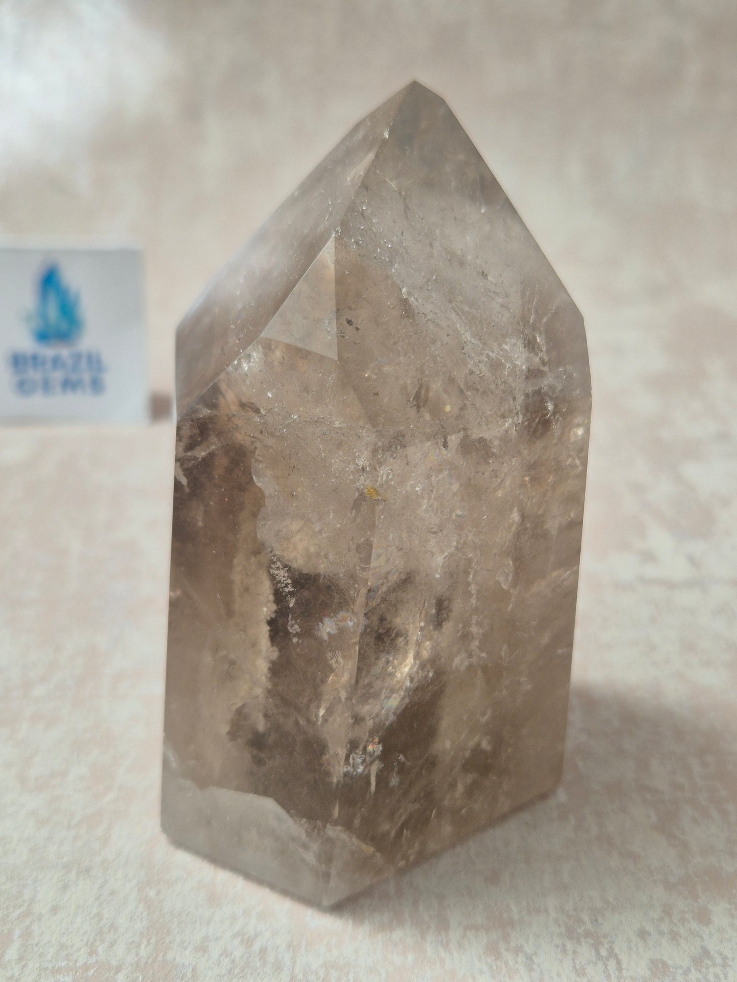 Smoky Quartz with Lodolite Inclusions Point