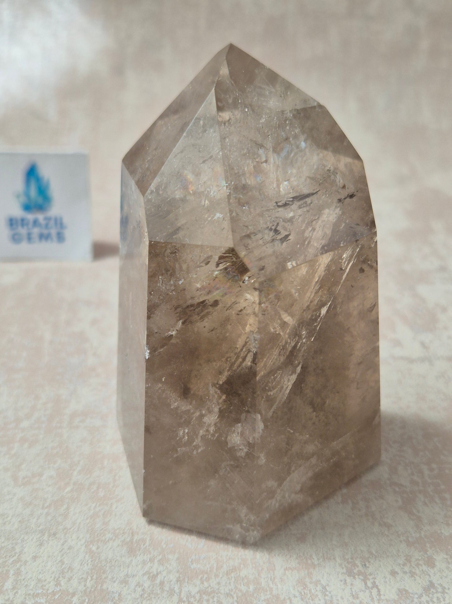 Smoky Quartz with Lodolite Inclusions Point