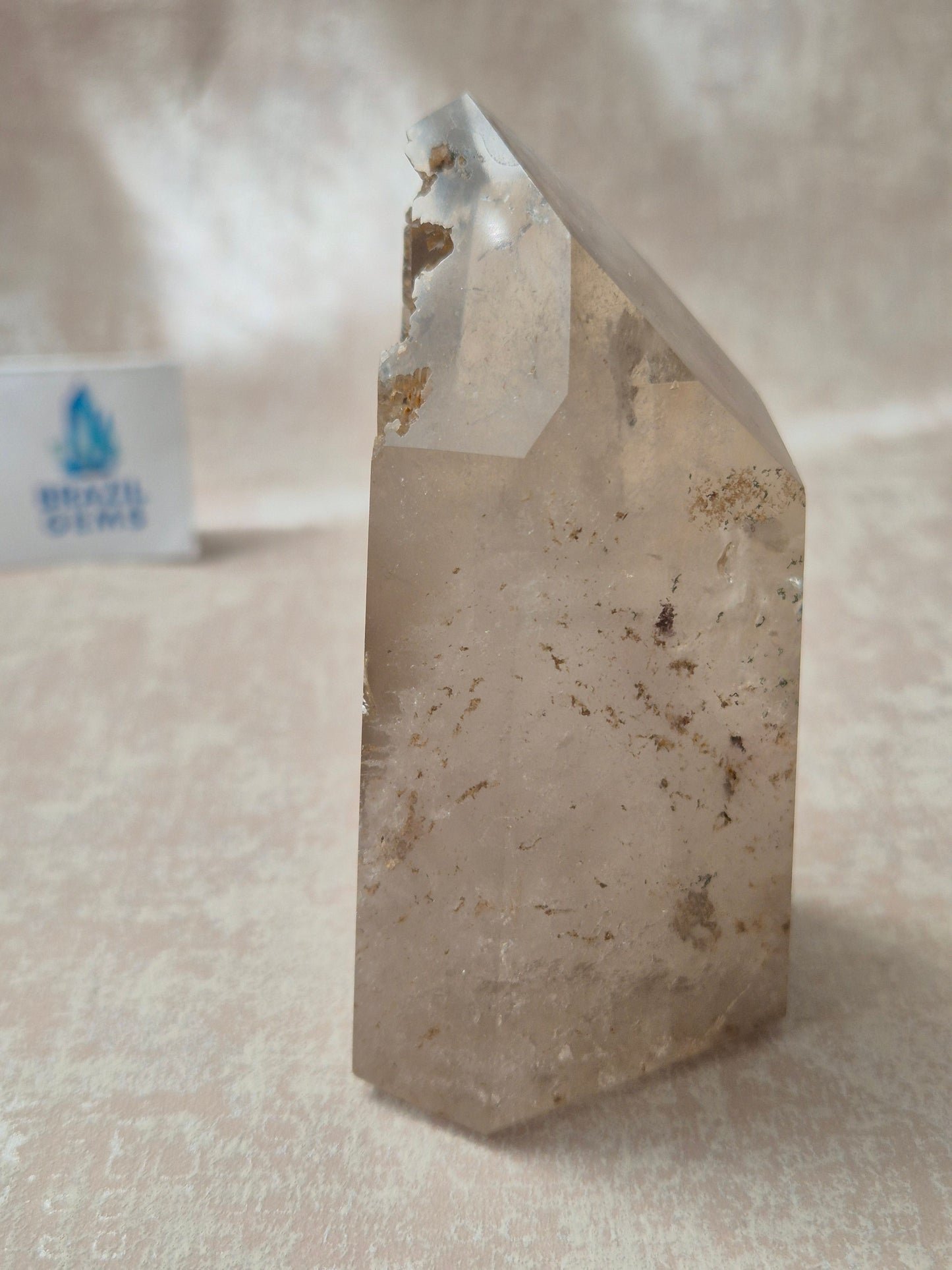 Smoky Quartz with Lodolite Inclusions Point
