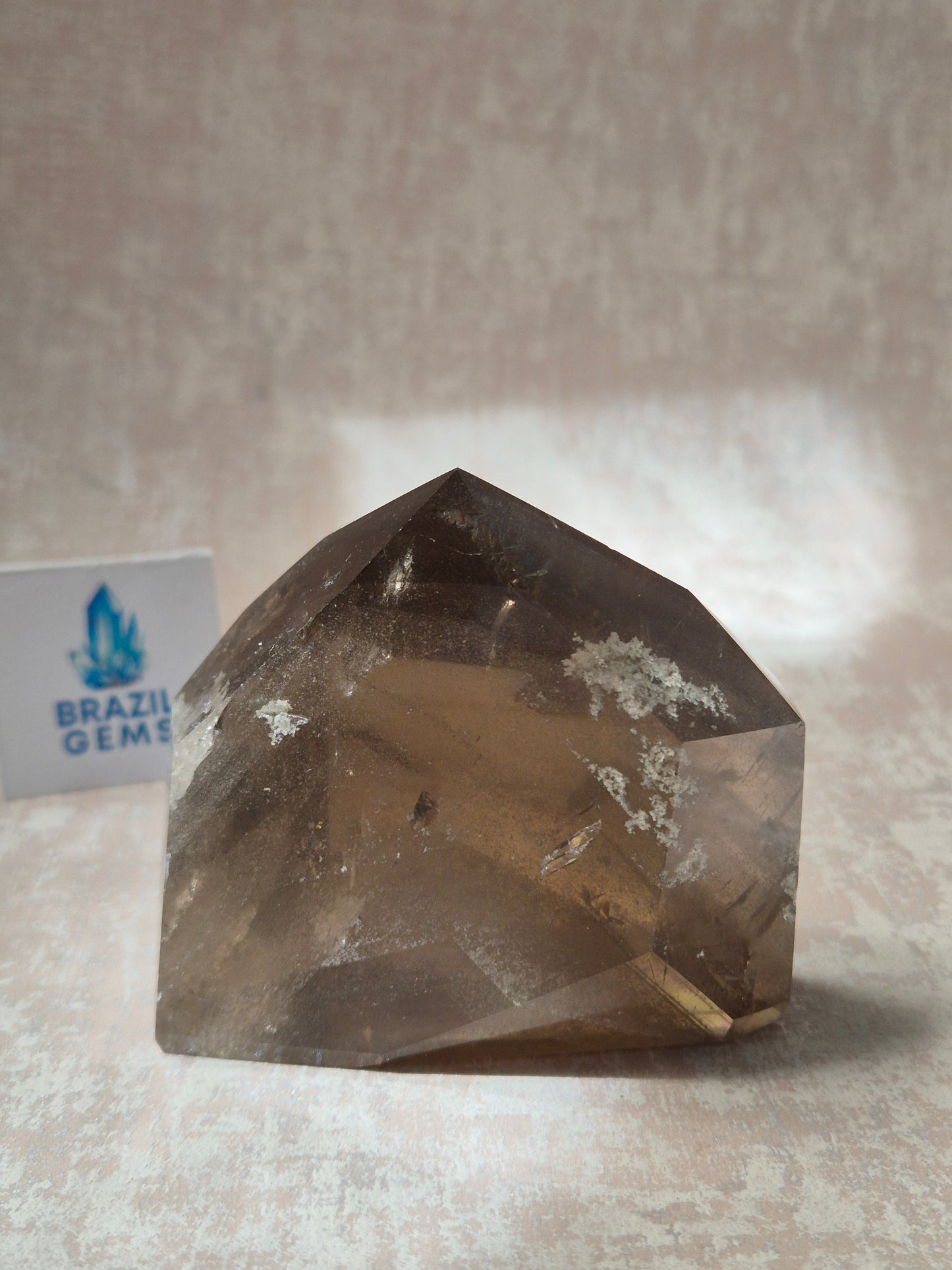 Smoky Phantom with Lodolite Inclusions Point