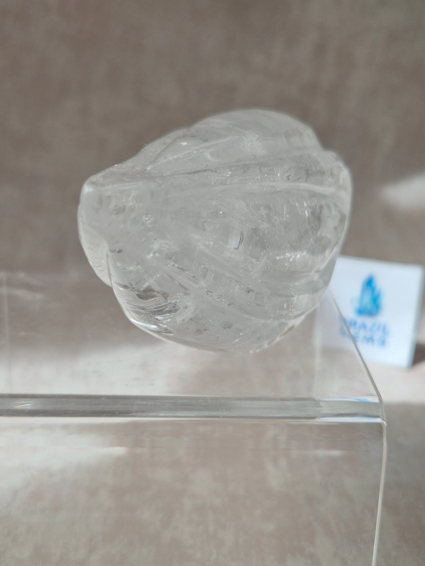 Lemurian Quartz Traveller Skull