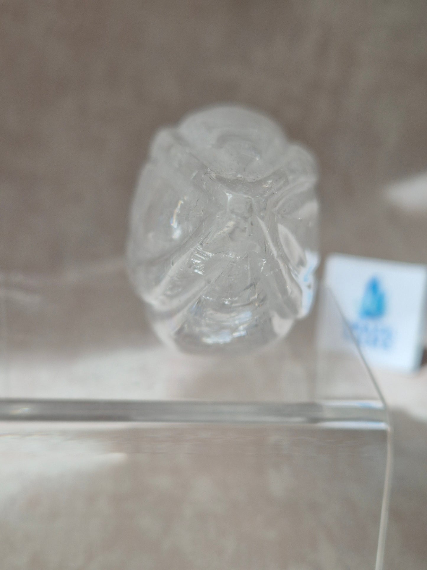 Lemurian Quartz Traveller Skull