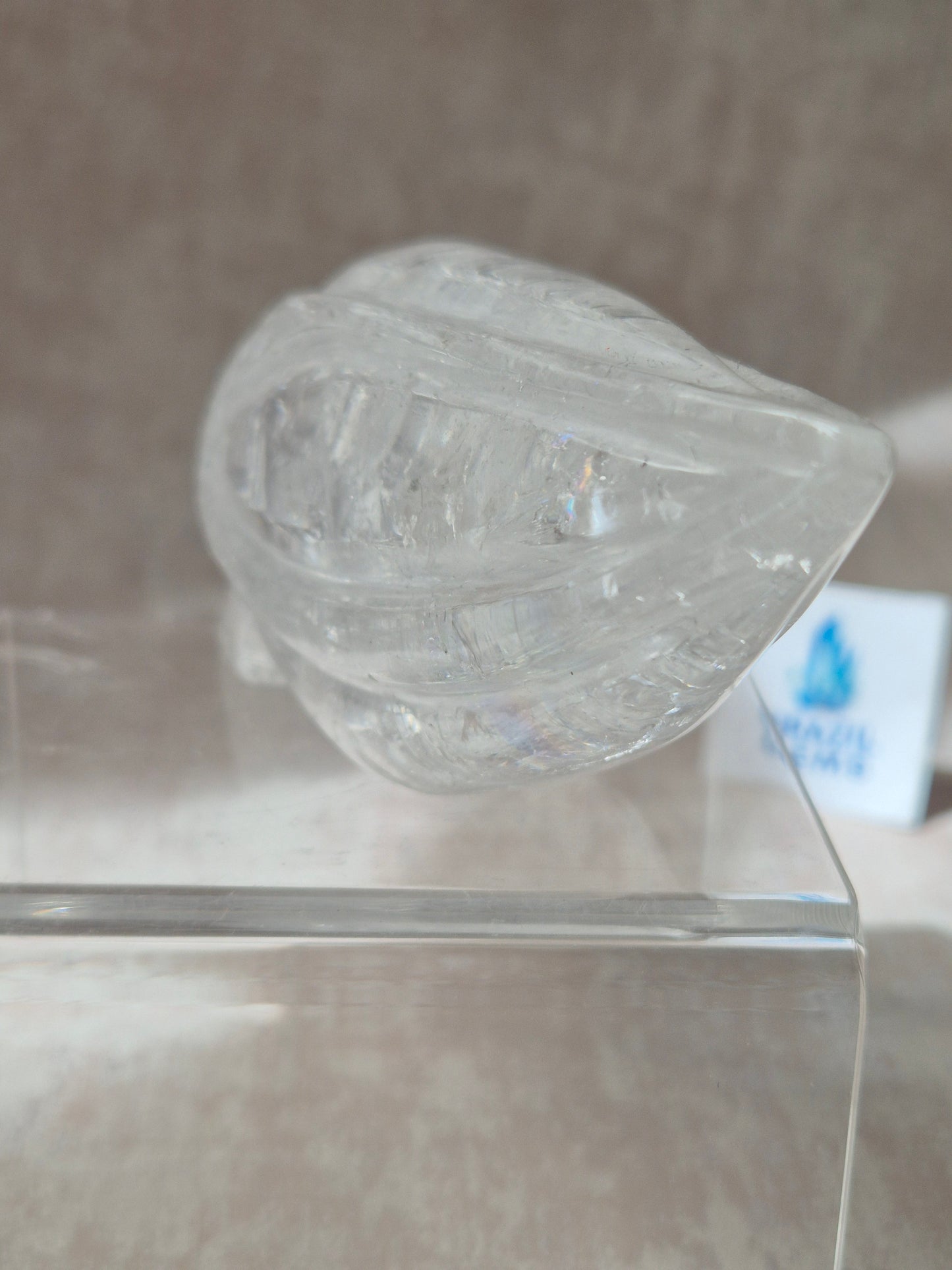 Lemurian Quartz Traveller Skull