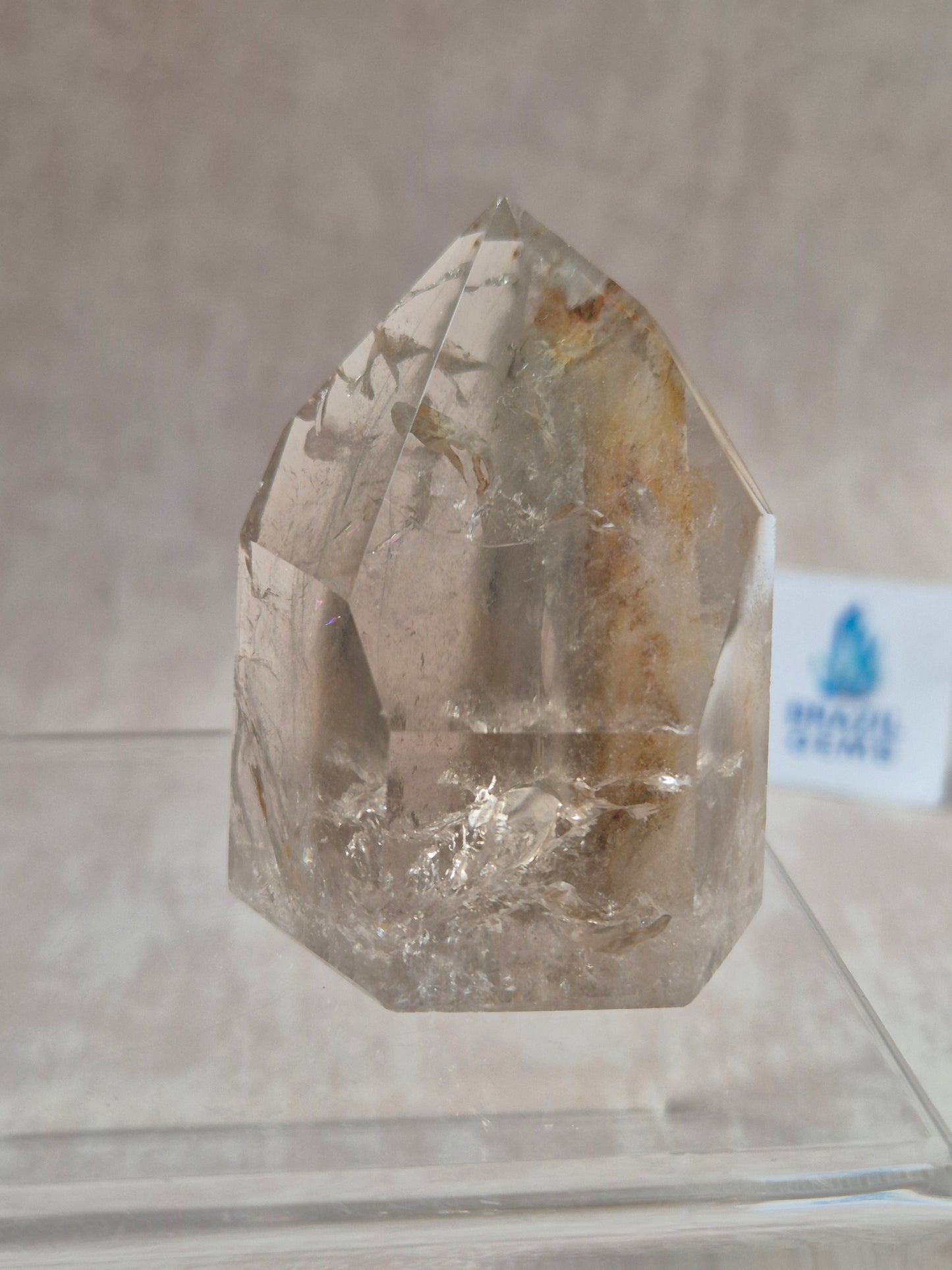 Smoky Quartz with Lodolite Inclusions and Oxidation Point
