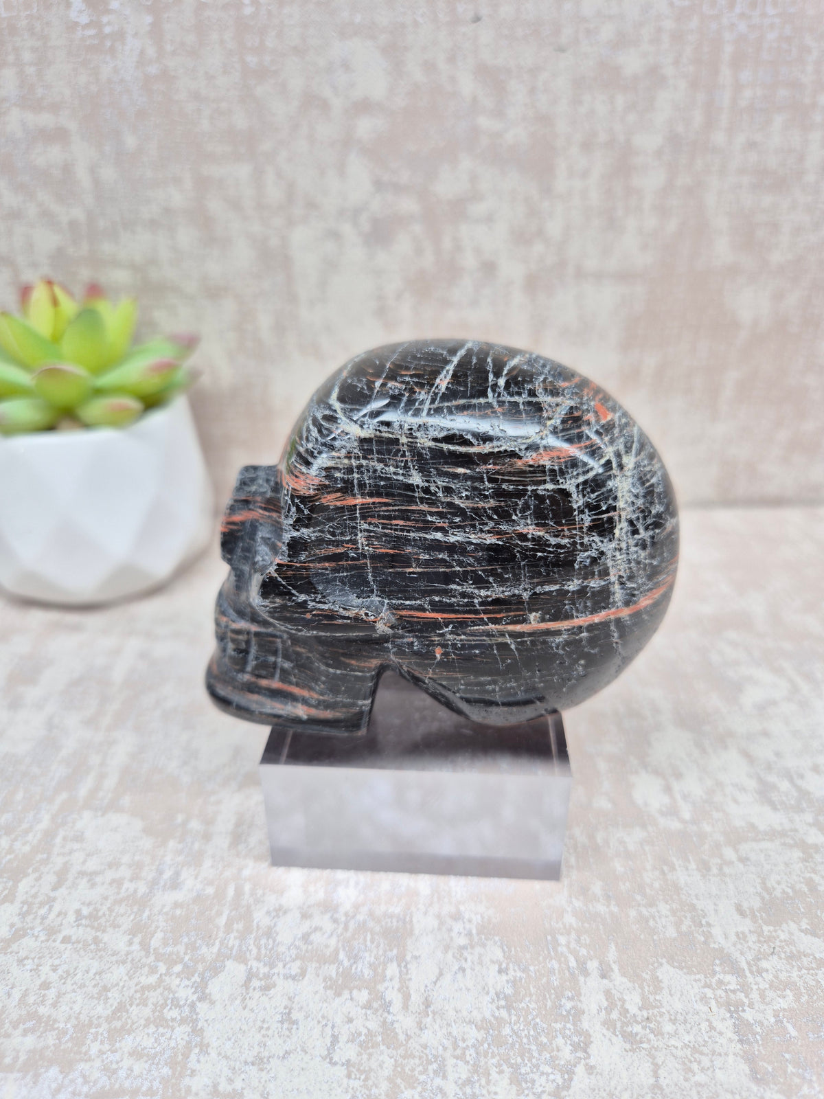 Black Tourmaline with Oxidation Skull