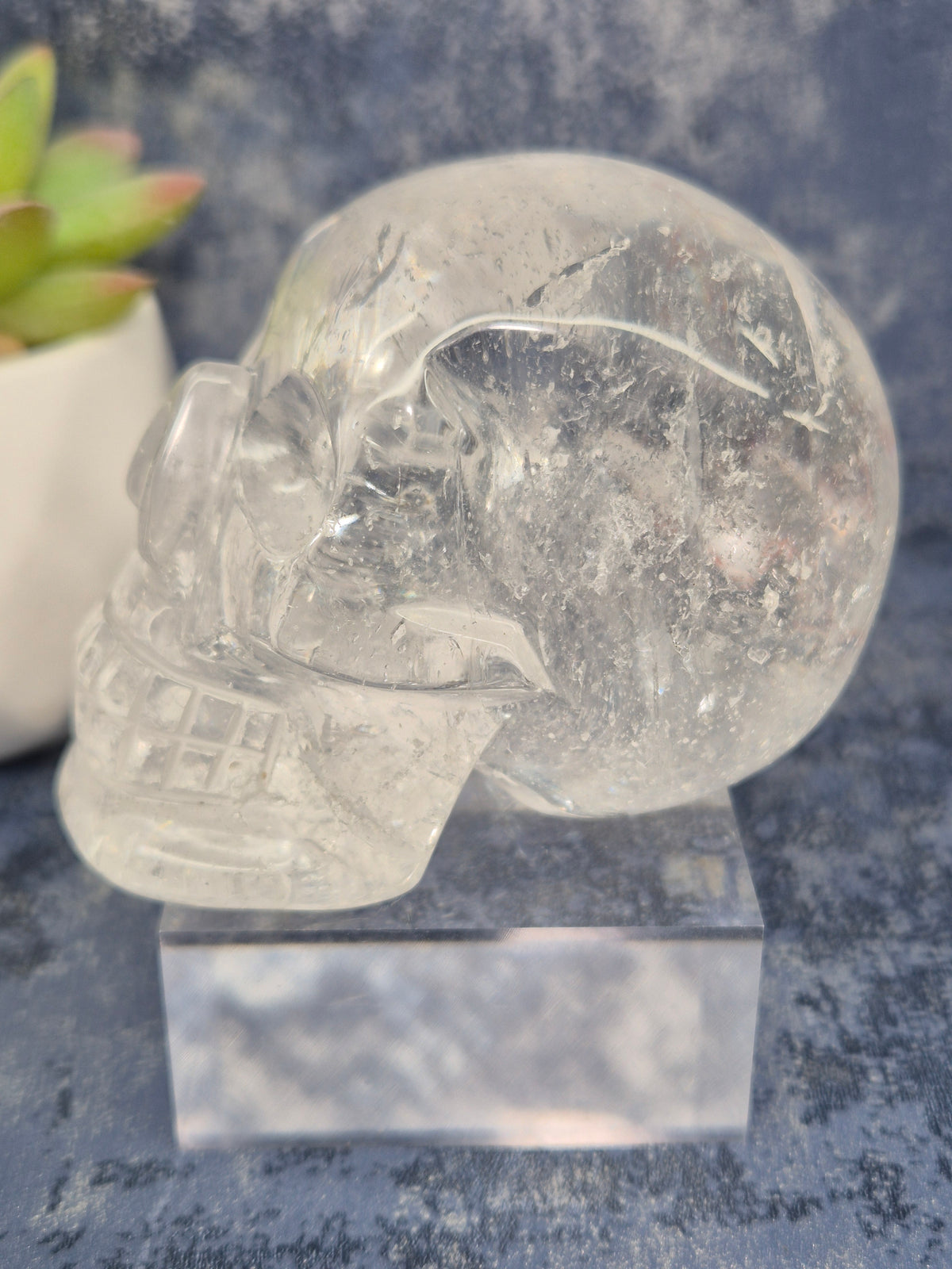 Lemurian Quartz Skull